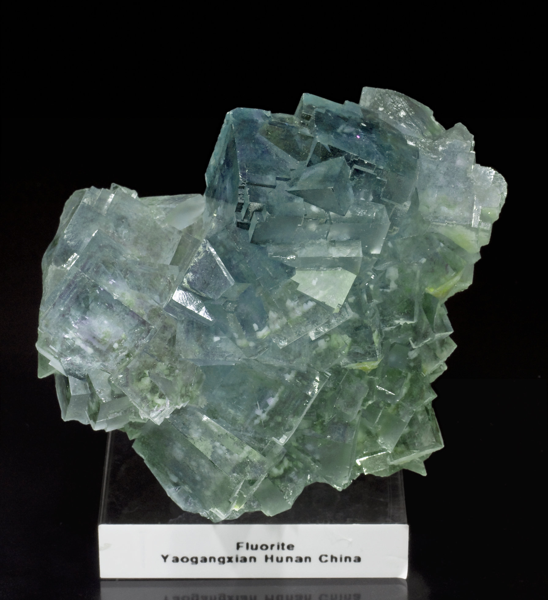 specimens/s_imagesW8/Fluorite-MR49W8f.jpg