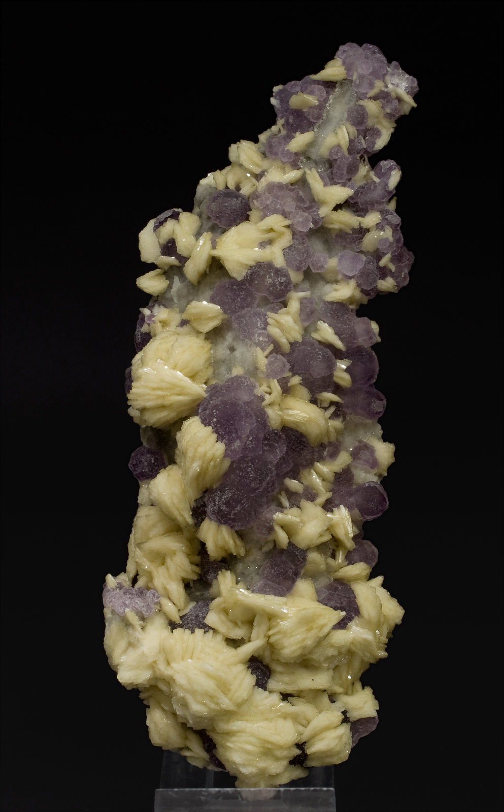 specimens/s_imagesW8/Fluorite-MV86W8f.jpg