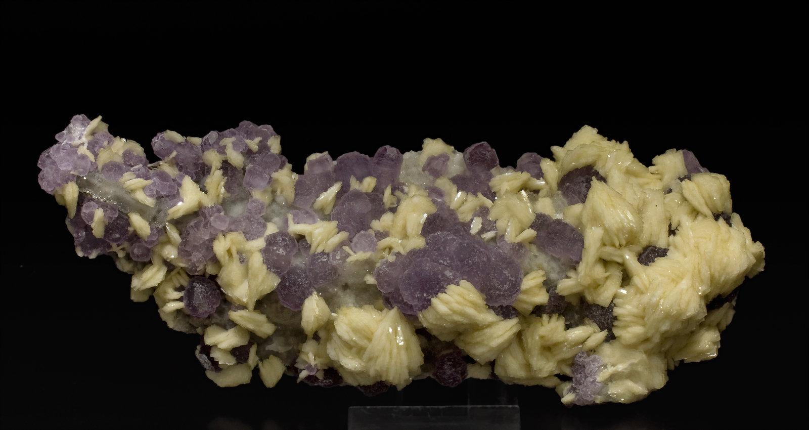 specimens/s_imagesW8/Fluorite-MV86W8s.jpg