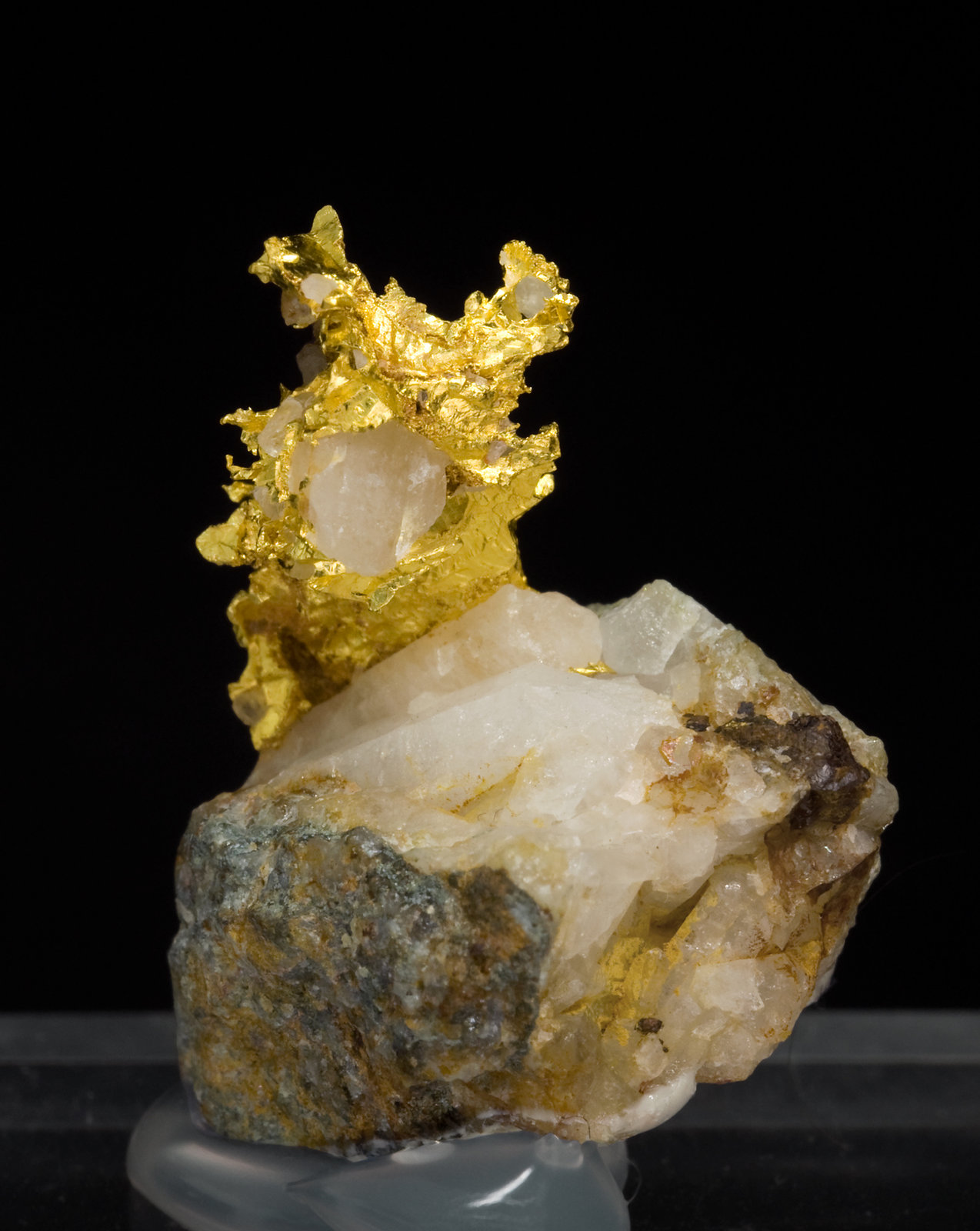specimens/s_imagesW9/Gold-MZ16W9r.jpg