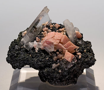 Rhodochrosite with Natrolite, Aegirine and amphibole. 