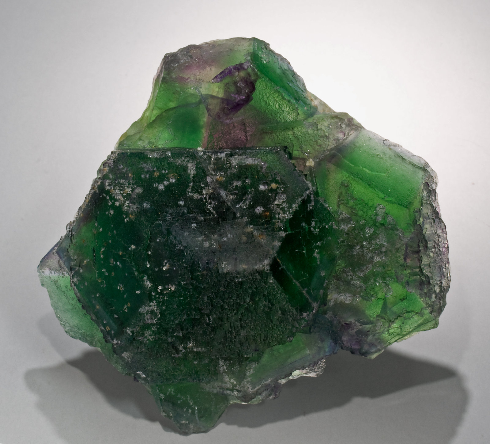 specimens/s_imagesX0/Fluorite-ER49X0f.jpg