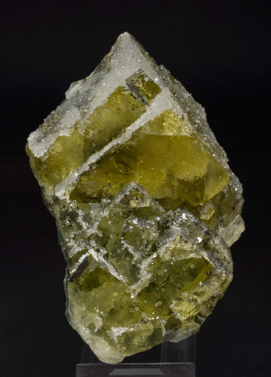 specimens/s_imagesX0/Fluorite-JG27X0f.jpg