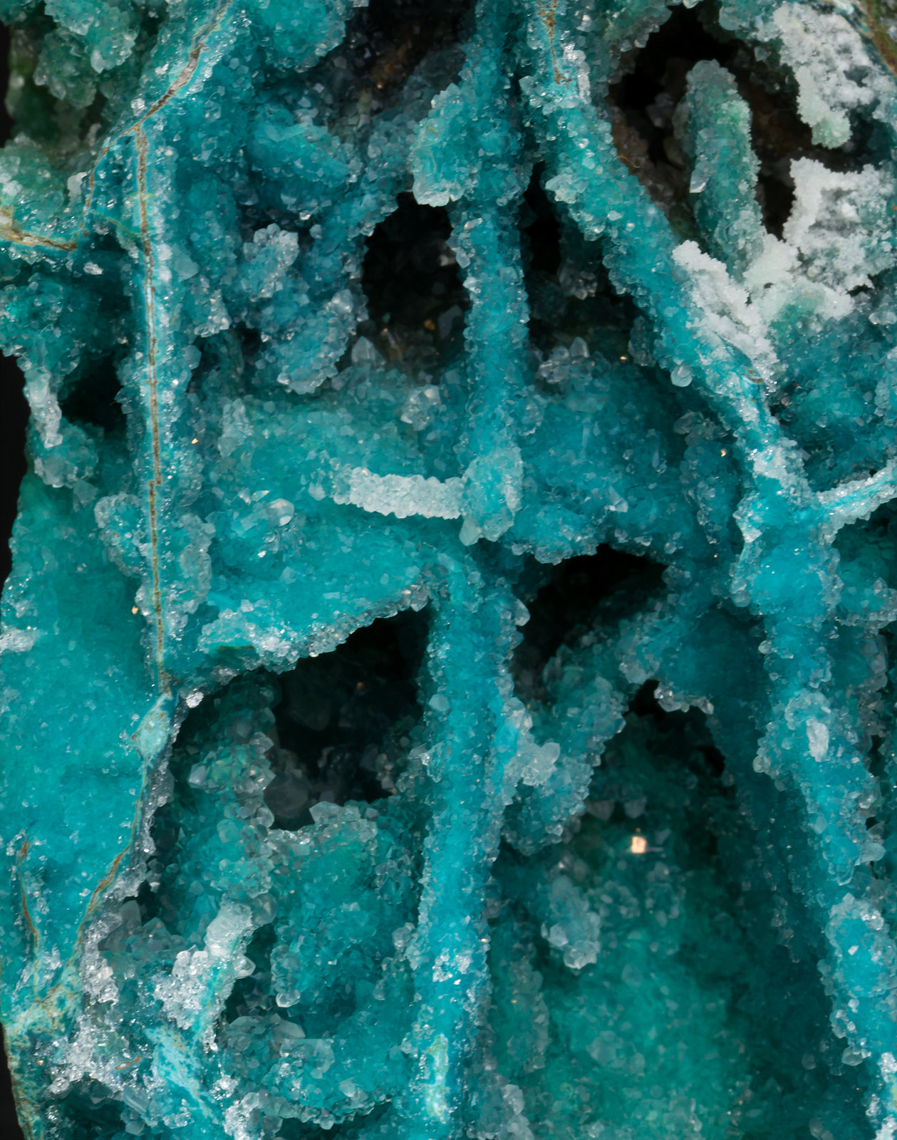 specimens/s_imagesX1/Chrysocolla-MA26X1d.jpg