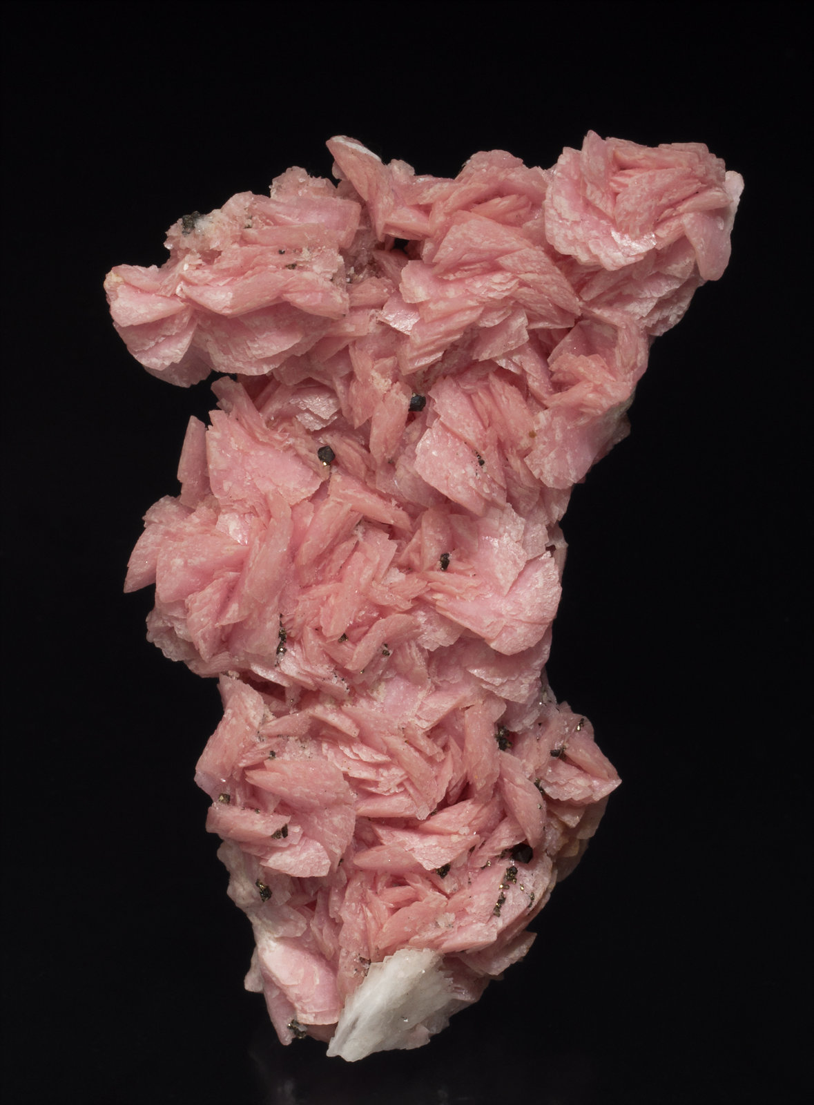 specimens/s_imagesX1/Rhodochrosite-EA96X1f.jpg