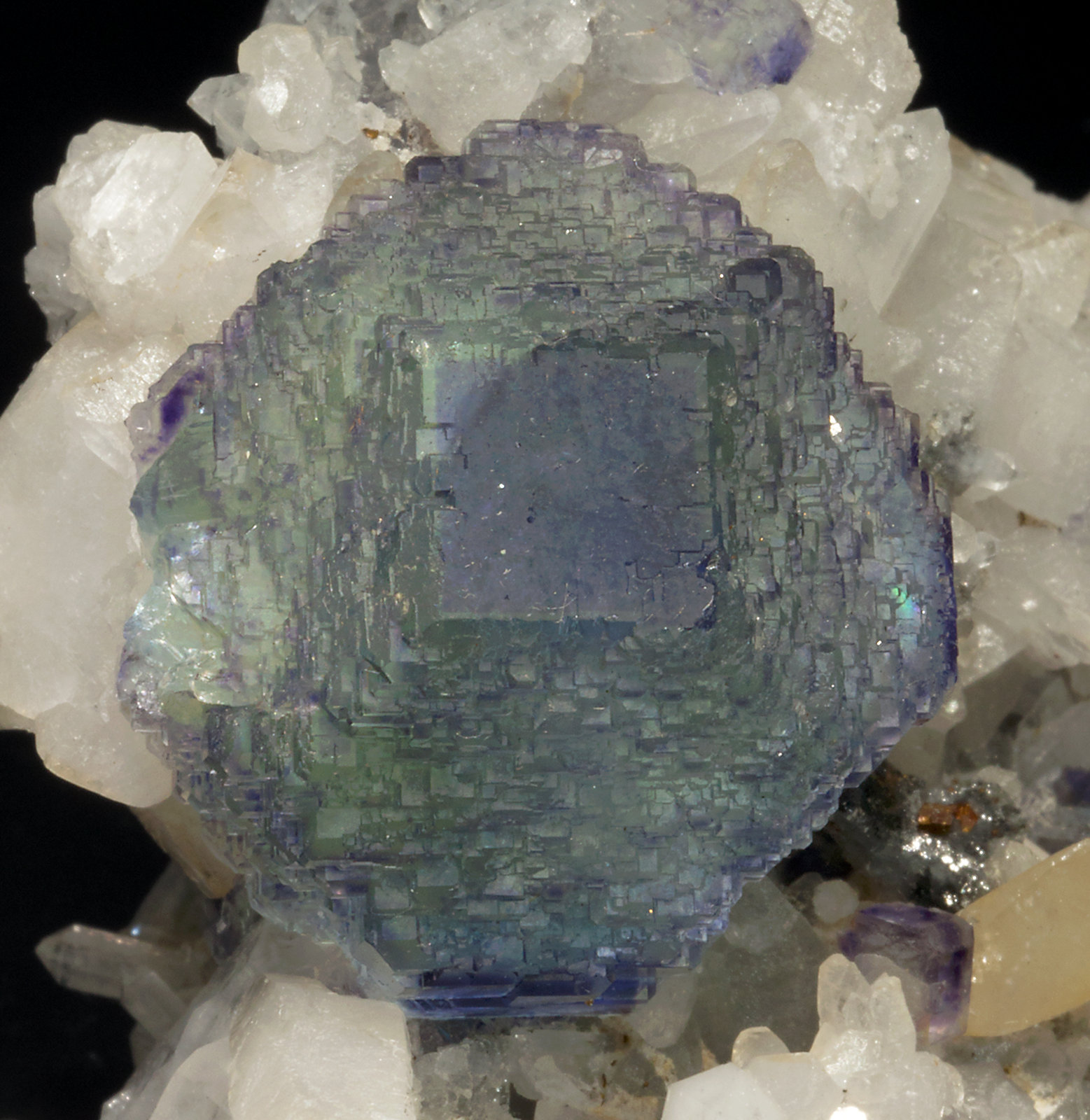 specimens/s_imagesX3/Fluorite-TT37X3d.jpg