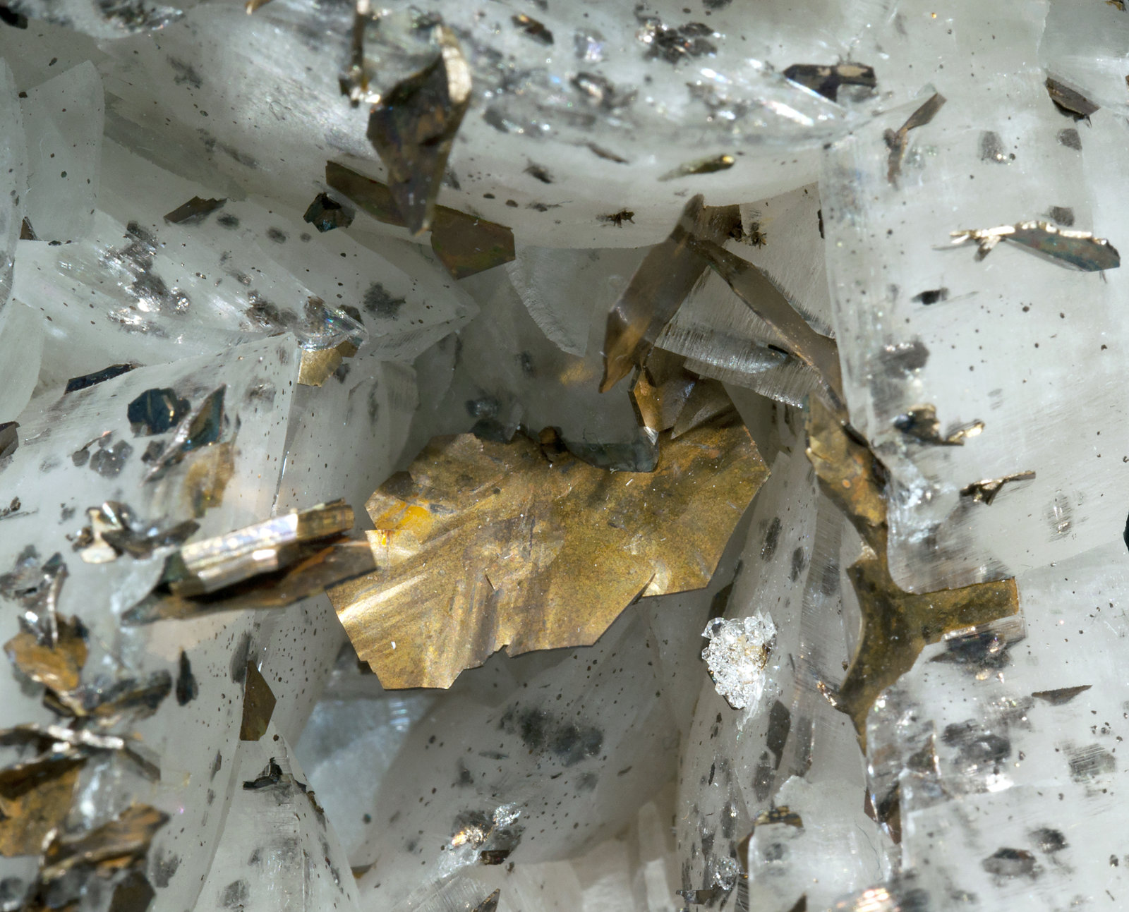 specimens/s_imagesX3/Pirrotite-JB47X3d.jpg