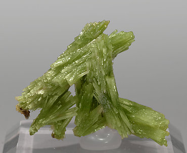 Pyromorphite. Rear