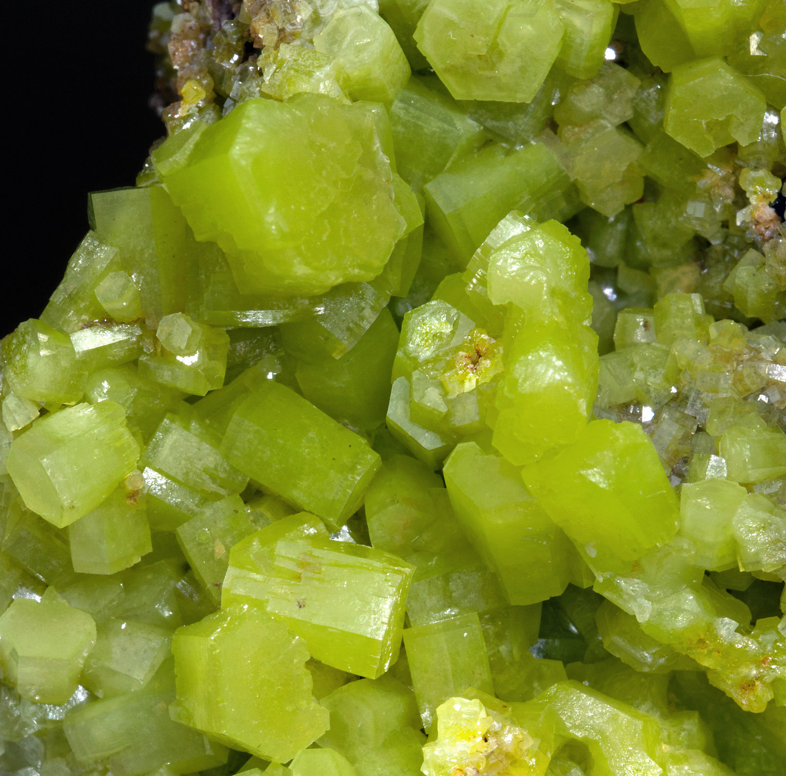 specimens/s_imagesX3/Pyromorphite-N36XX3d.jpg