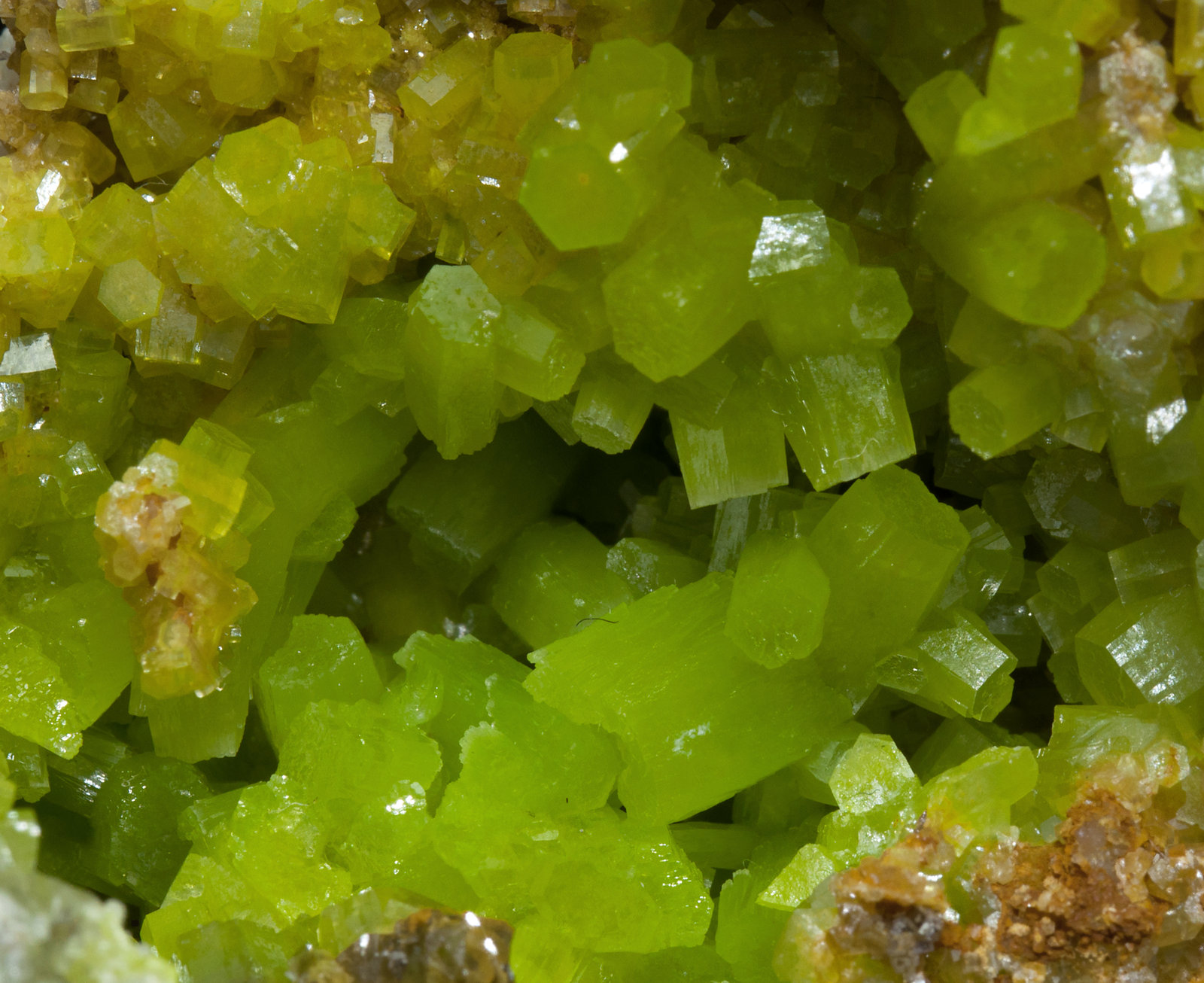 specimens/s_imagesX3/Pyromorphite-N43MX3d.jpg