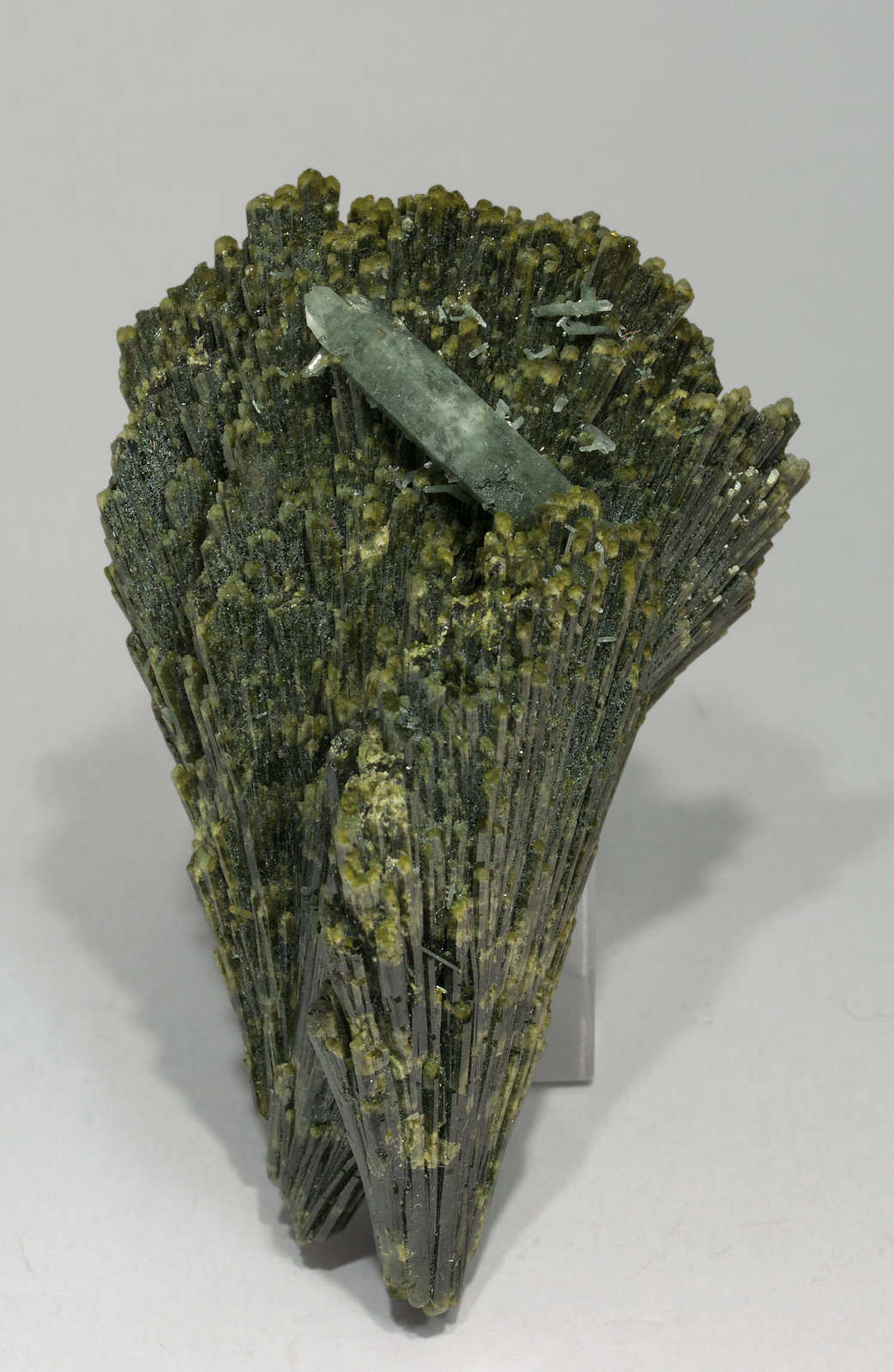 specimens/s_imagesX4/Epidote-TP12X4f.jpg