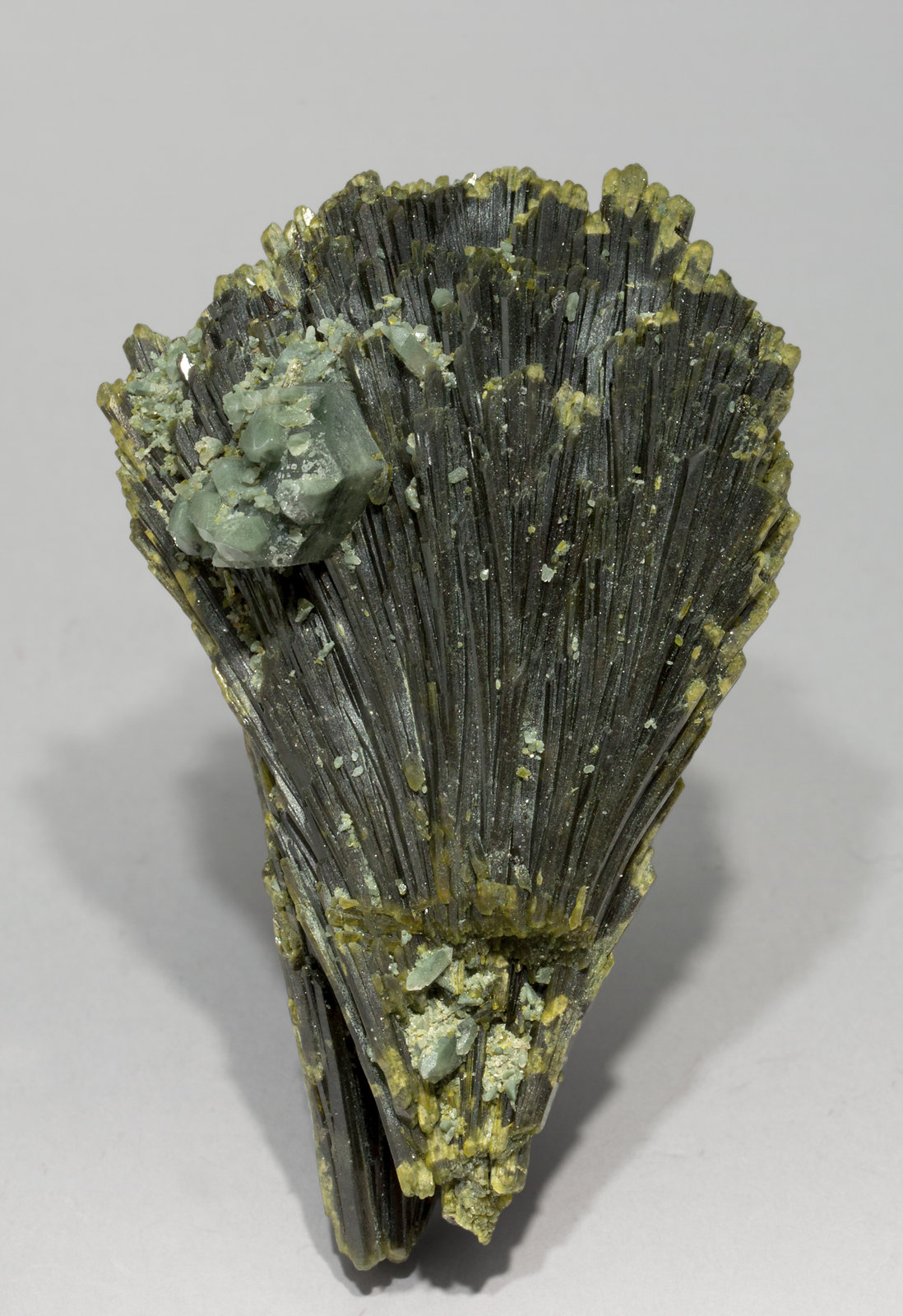 specimens/s_imagesX4/Epidote-TP12X4r.jpg