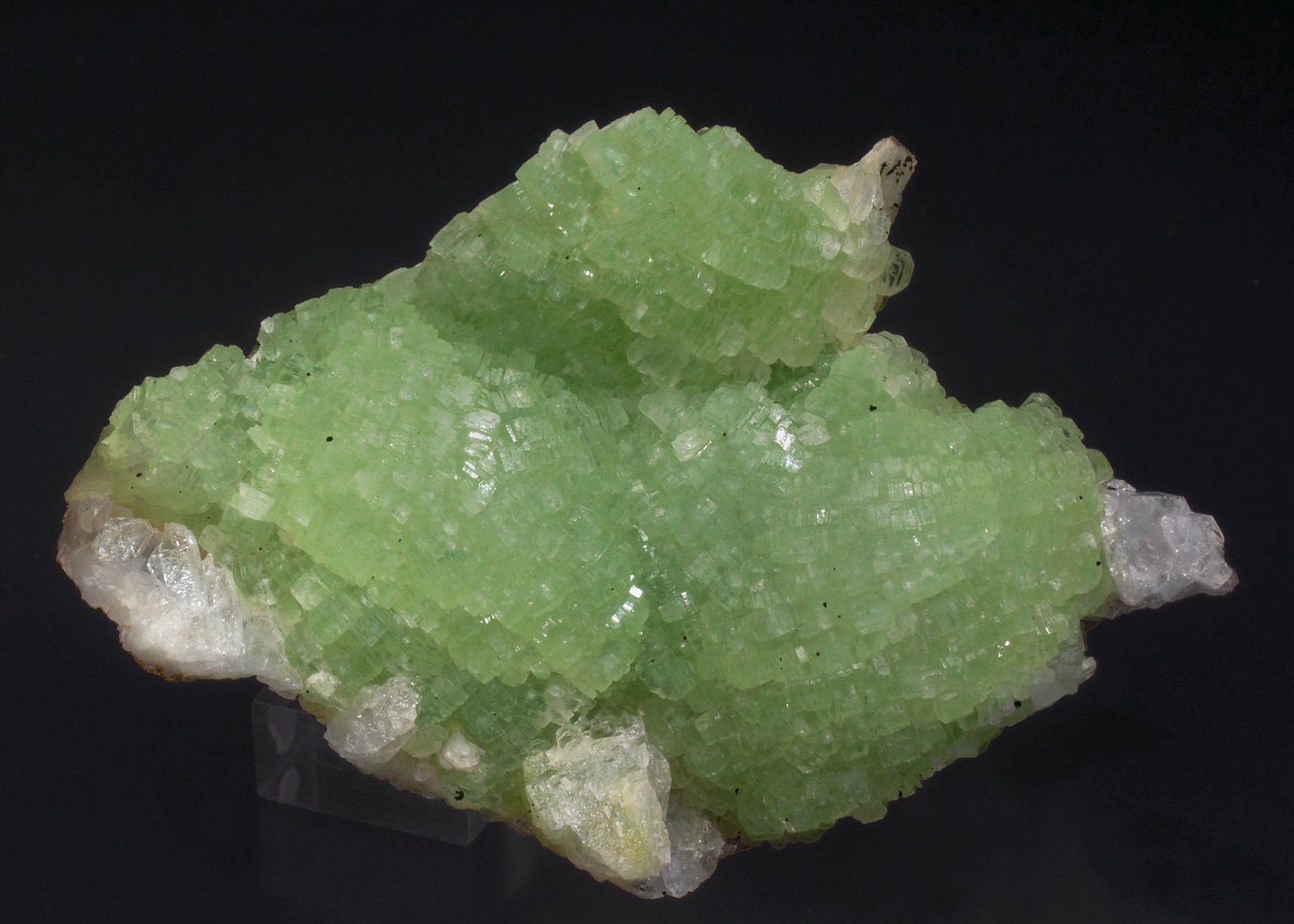 specimens/s_imagesX4/Prehnite-ED37X4f.jpg