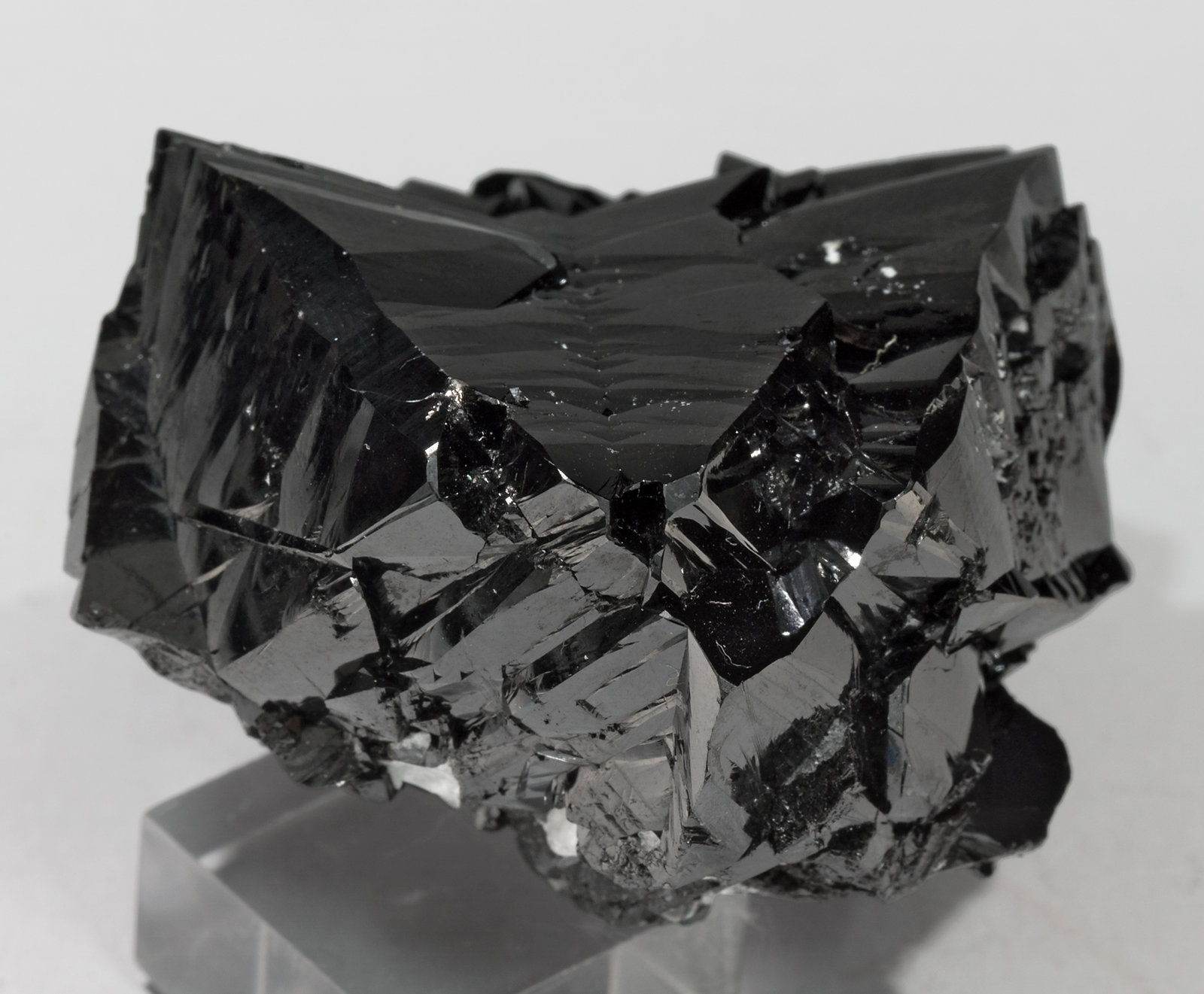 specimens/s_imagesX5/Cassiterite-TT50X5t.jpg