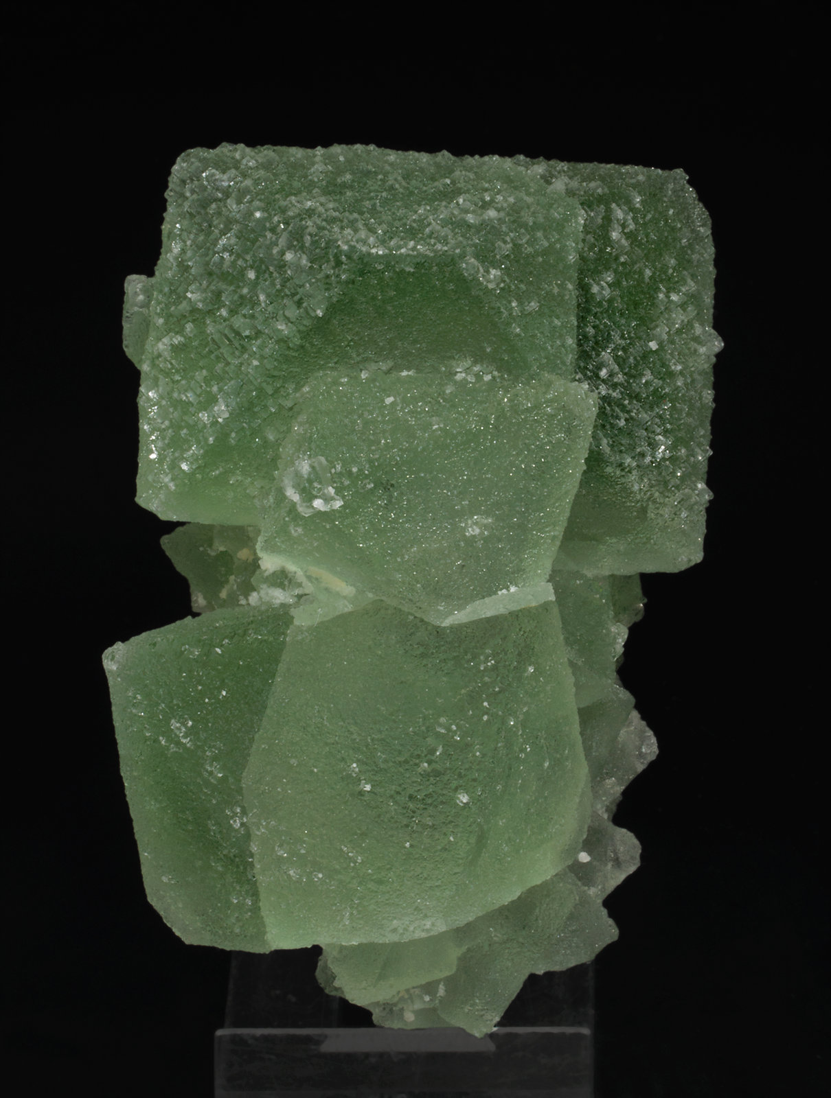 specimens/s_imagesX5/Fluorite-JR50X5f.jpg