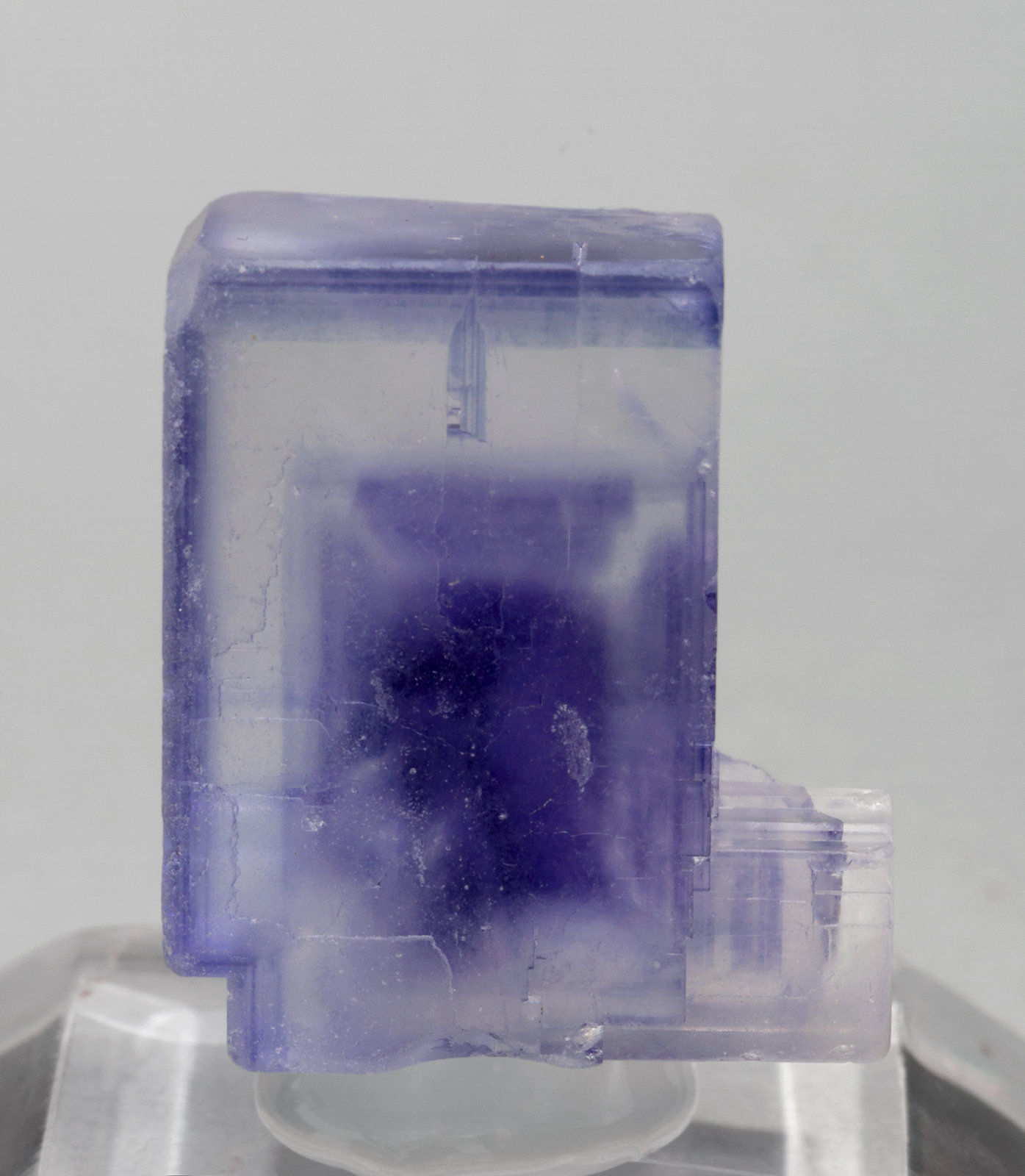 specimens/s_imagesX5/Fluorite-NC26X5f.jpg