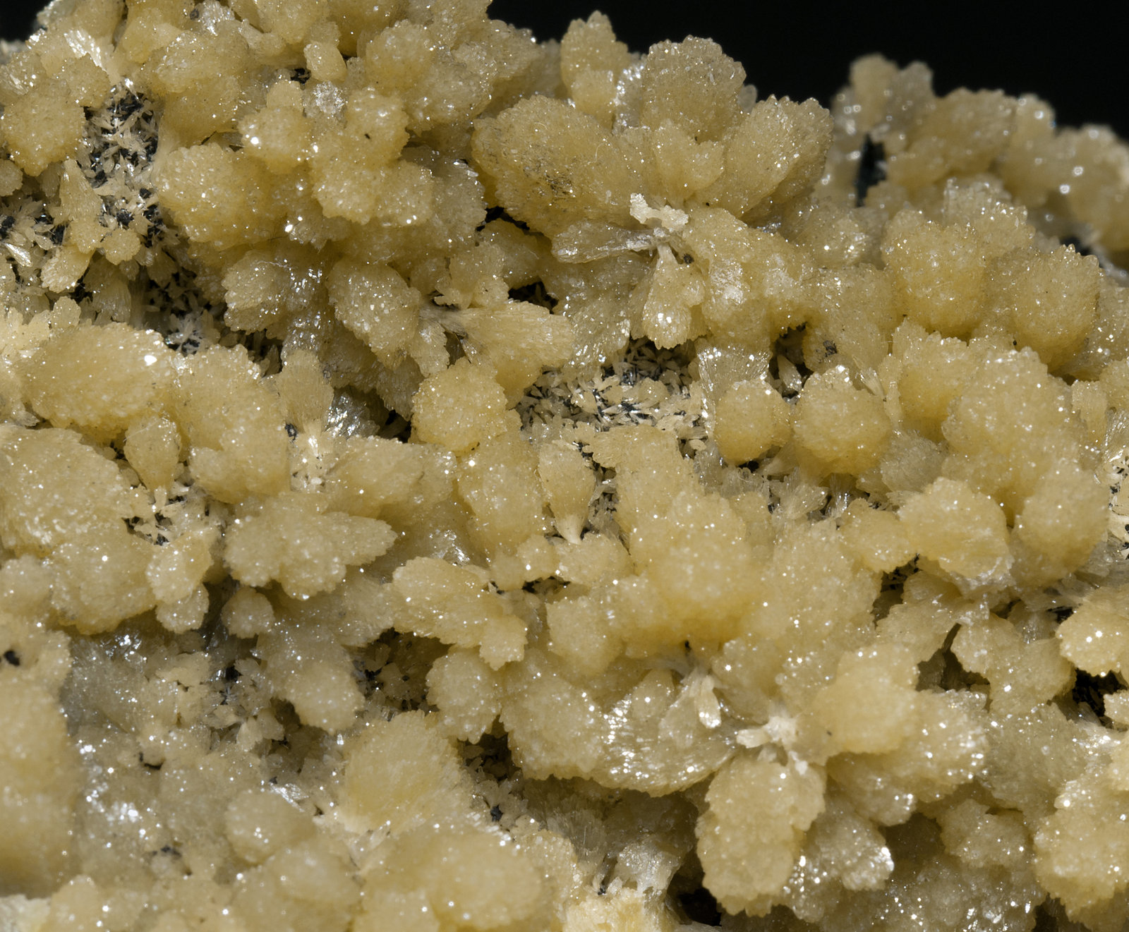 specimens/s_imagesX5/Mimetite-EA28X5d.jpg