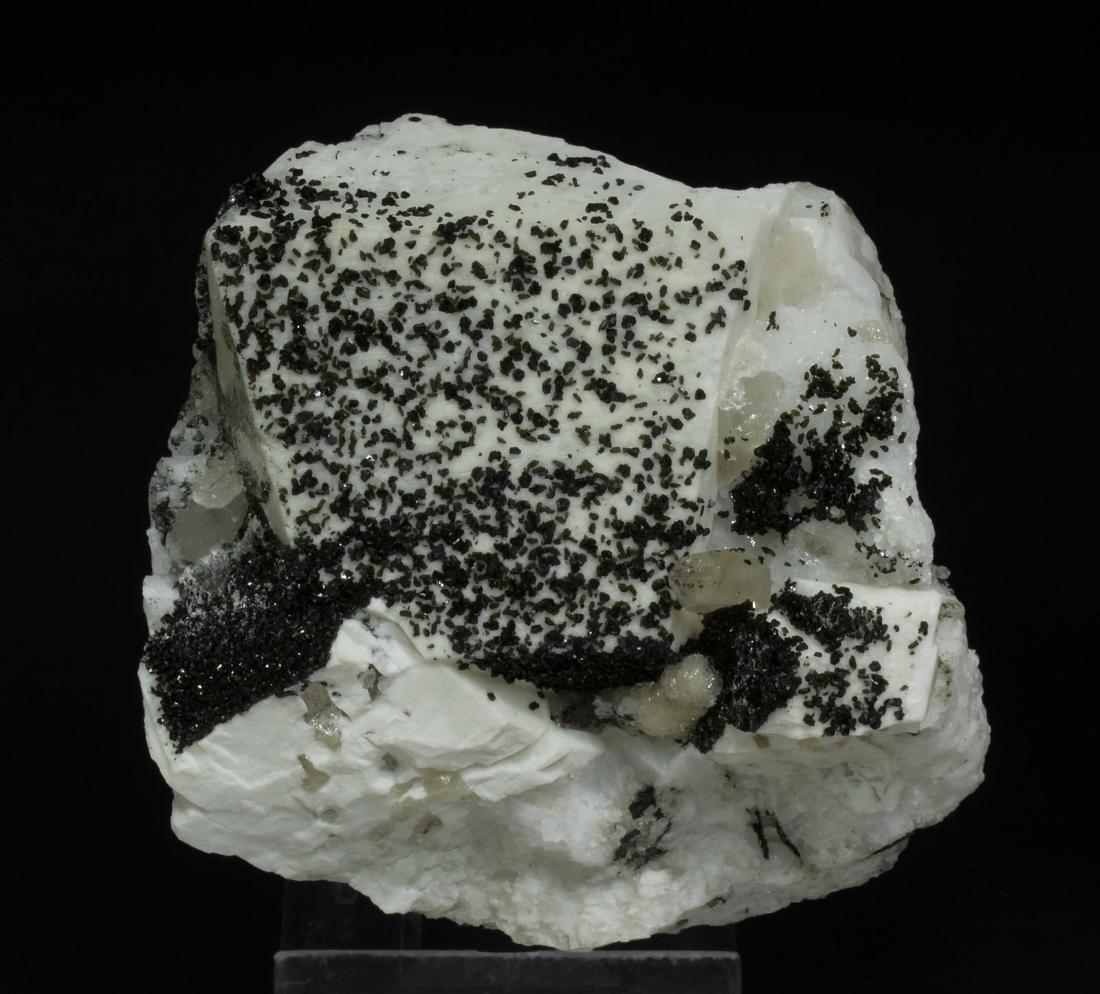 specimens/s_imagesX6/Bavenite-NC46X6f.jpg