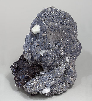 L�llingite with Molybdenite, Scheelite, Fluorite and Magnetite. Front
