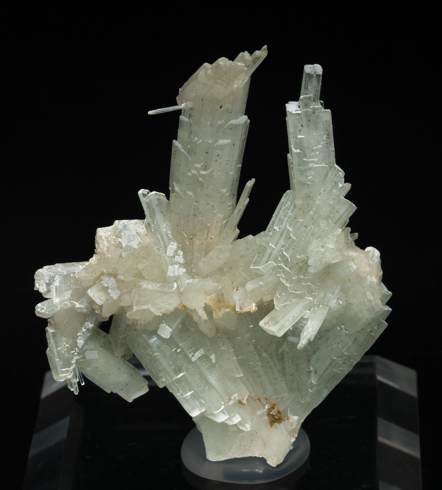 specimens/s_imagesX6/Pectolite-MY47X6f.jpg