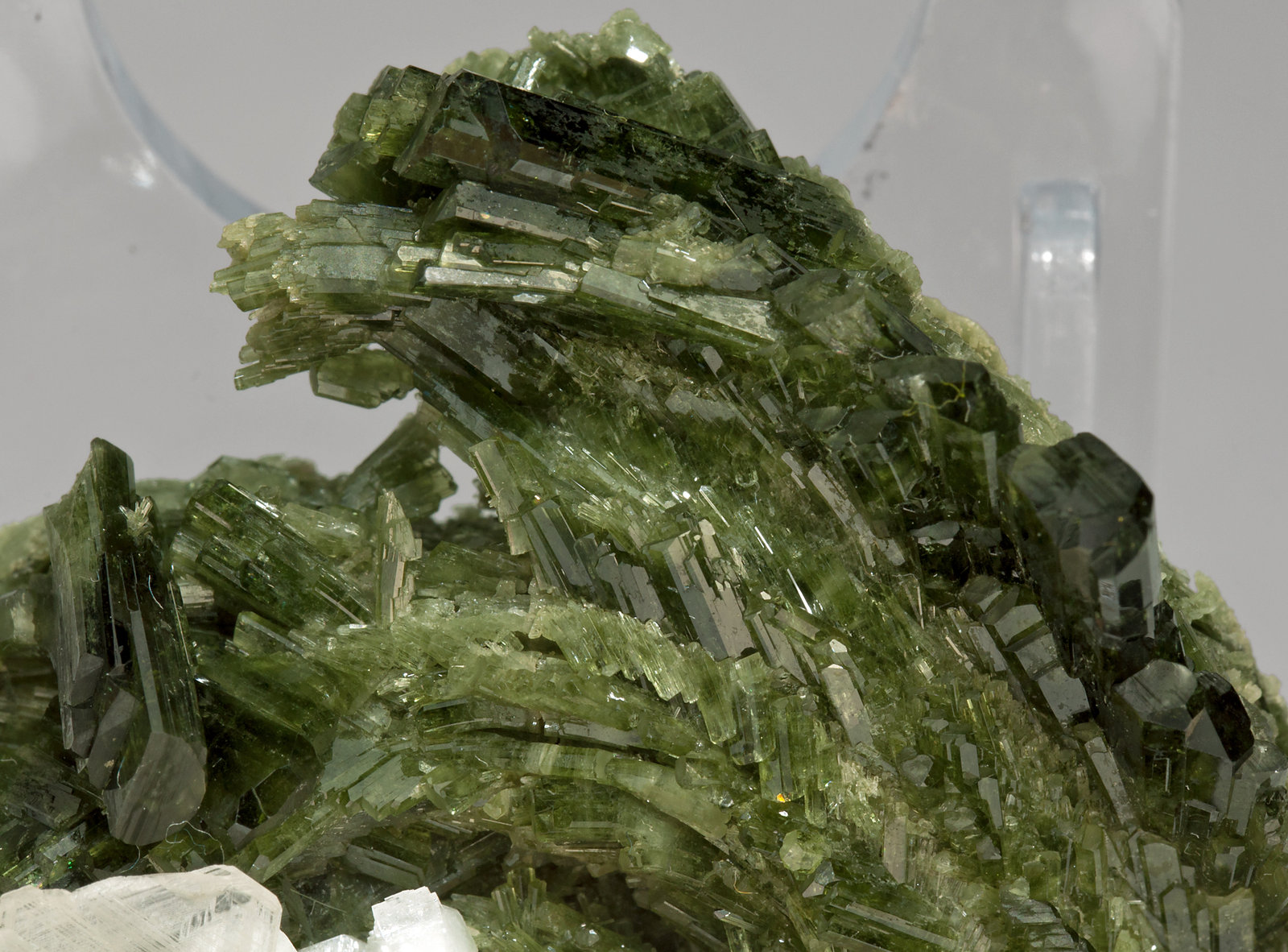 specimens/s_imagesX7/Diopside-TL96X7d1.jpg