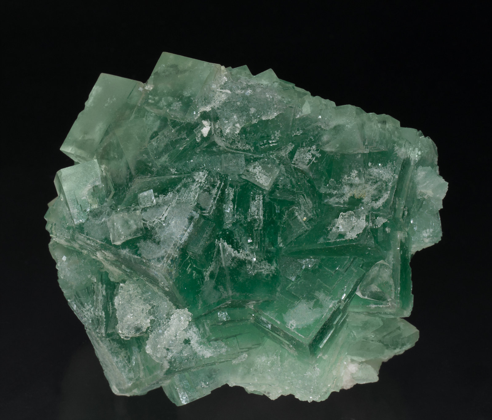 specimens/s_imagesX7/Fluorite-TC49X7f.jpg