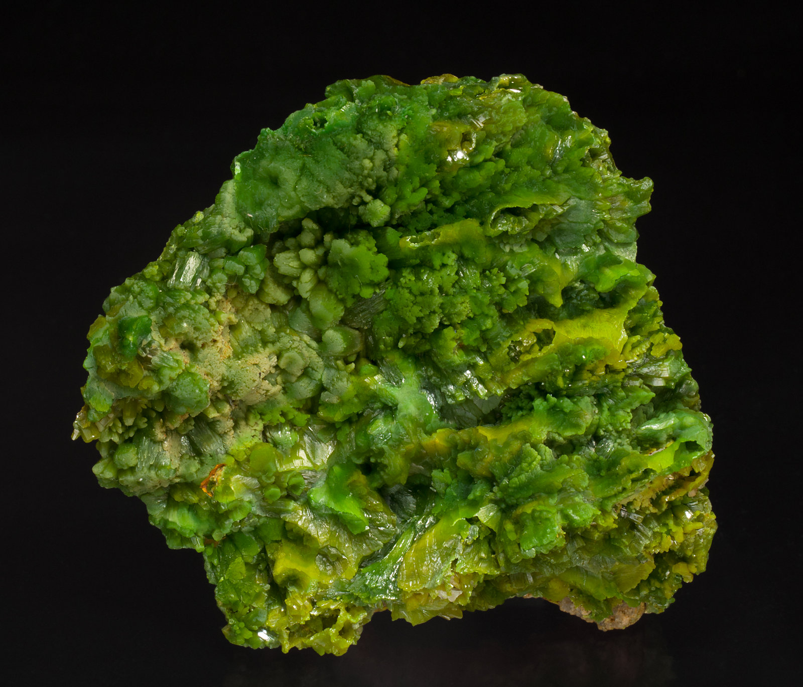 specimens/s_imagesX7/Pyromorphite-TV50X7f.jpg