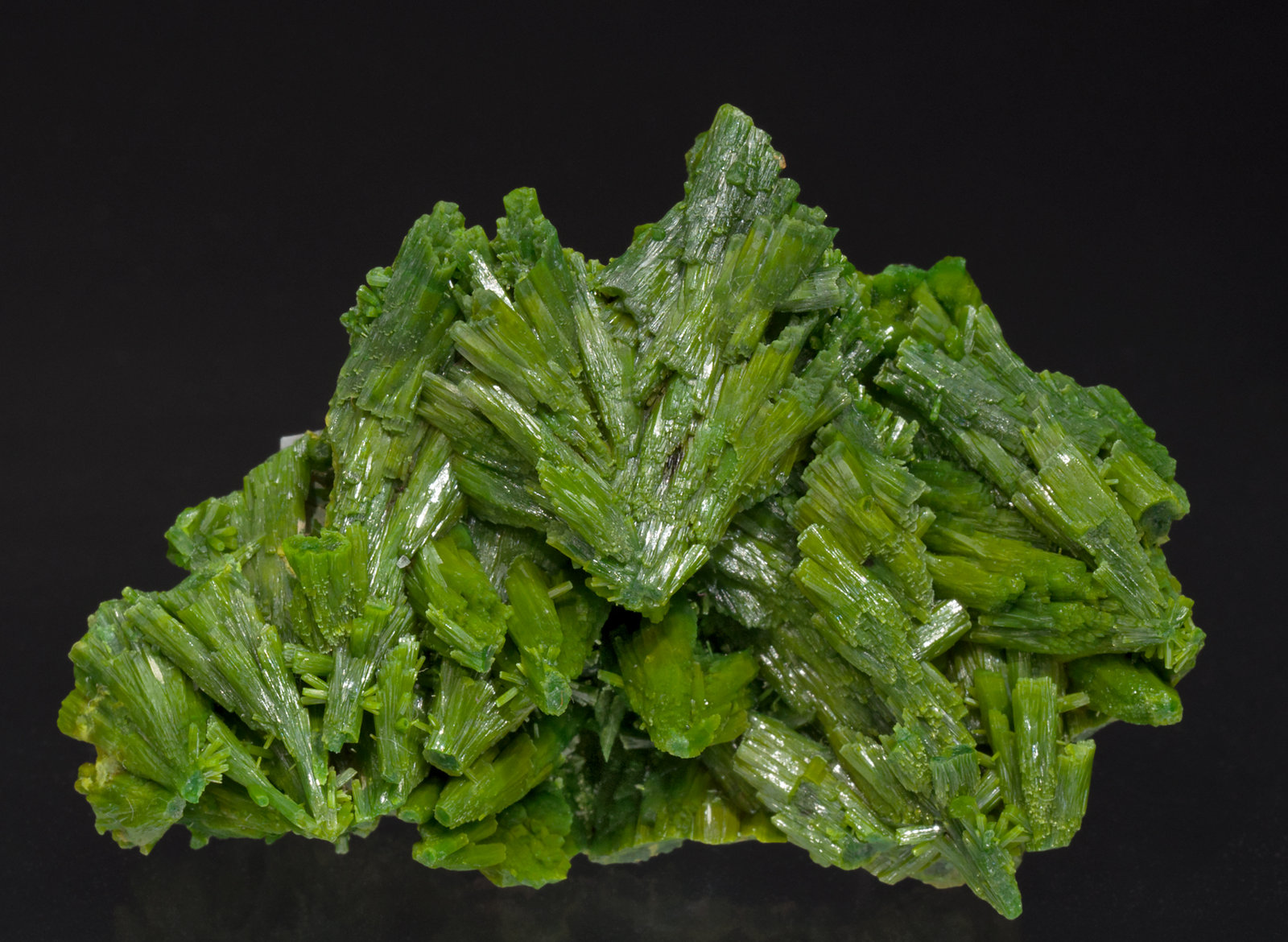 specimens/s_imagesX7/Pyromorphite-TV94X7f.jpg