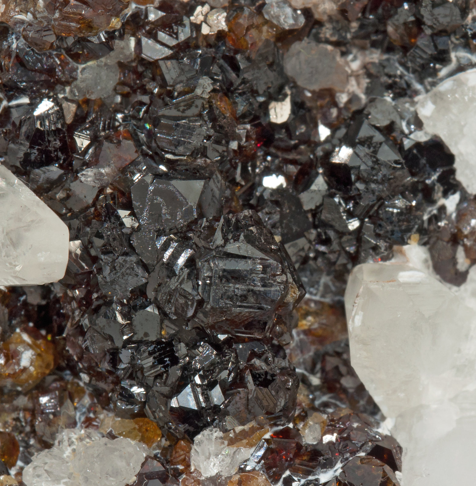 specimens/s_imagesX7/Sphalerite-NG64X7d.jpg