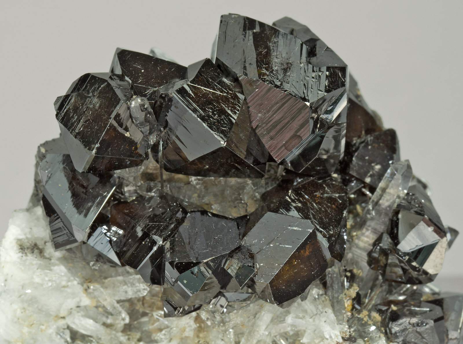 specimens/s_imagesX8/Casiterite-MT99X8d.jpg