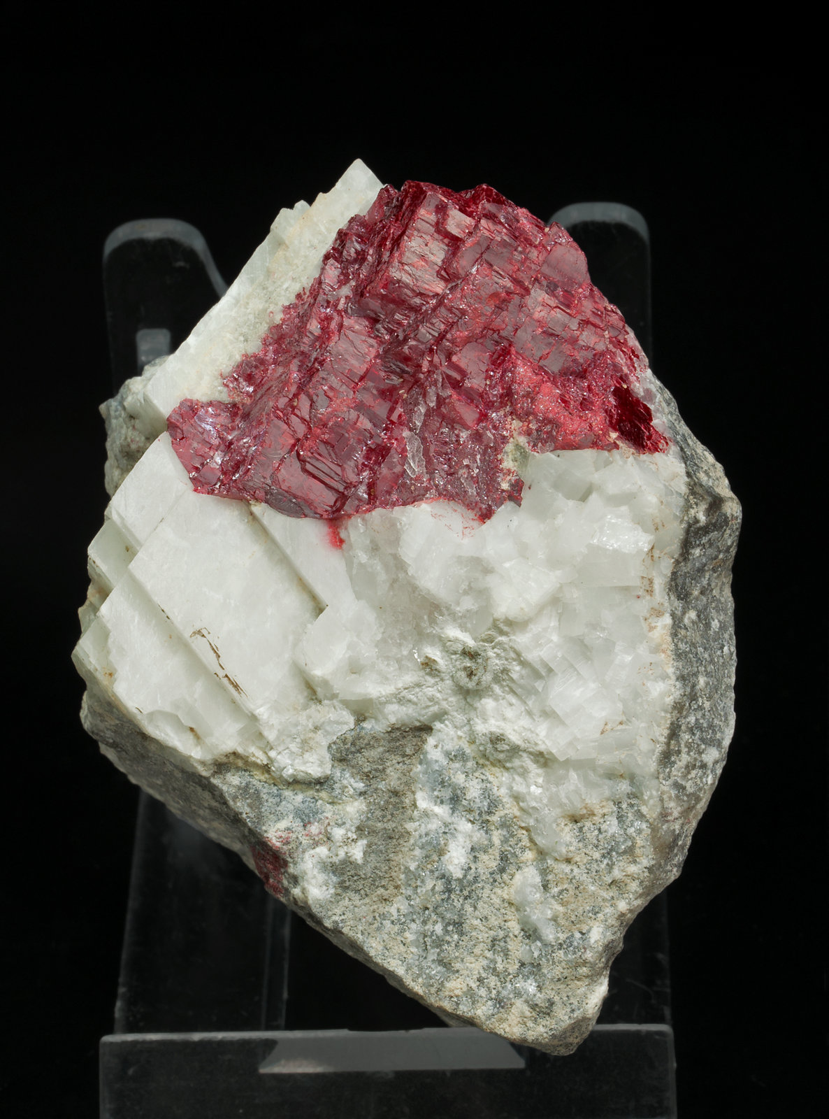 specimens/s_imagesX8/Cinnabar-RP66X8f.jpg