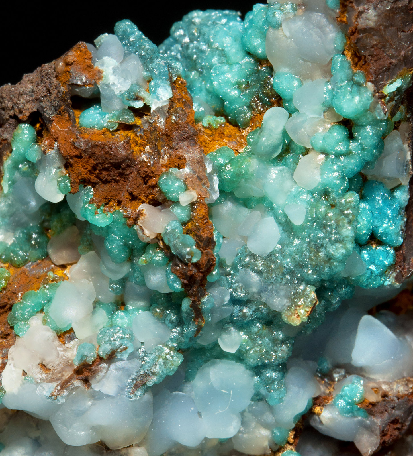 specimens/s_imagesX8/Smithsonite-MC11X8d.jpg