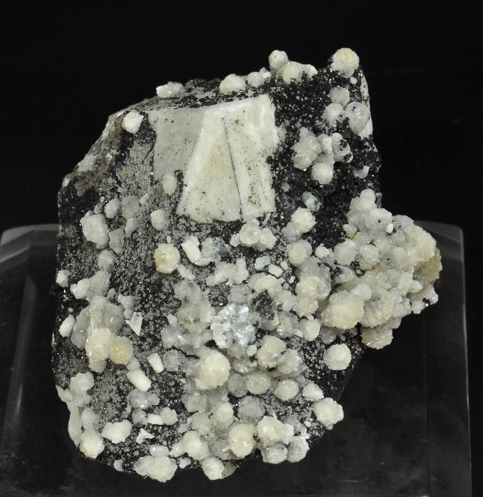 specimens/s_imagesX9/Bavenite-ND68X9f.jpg