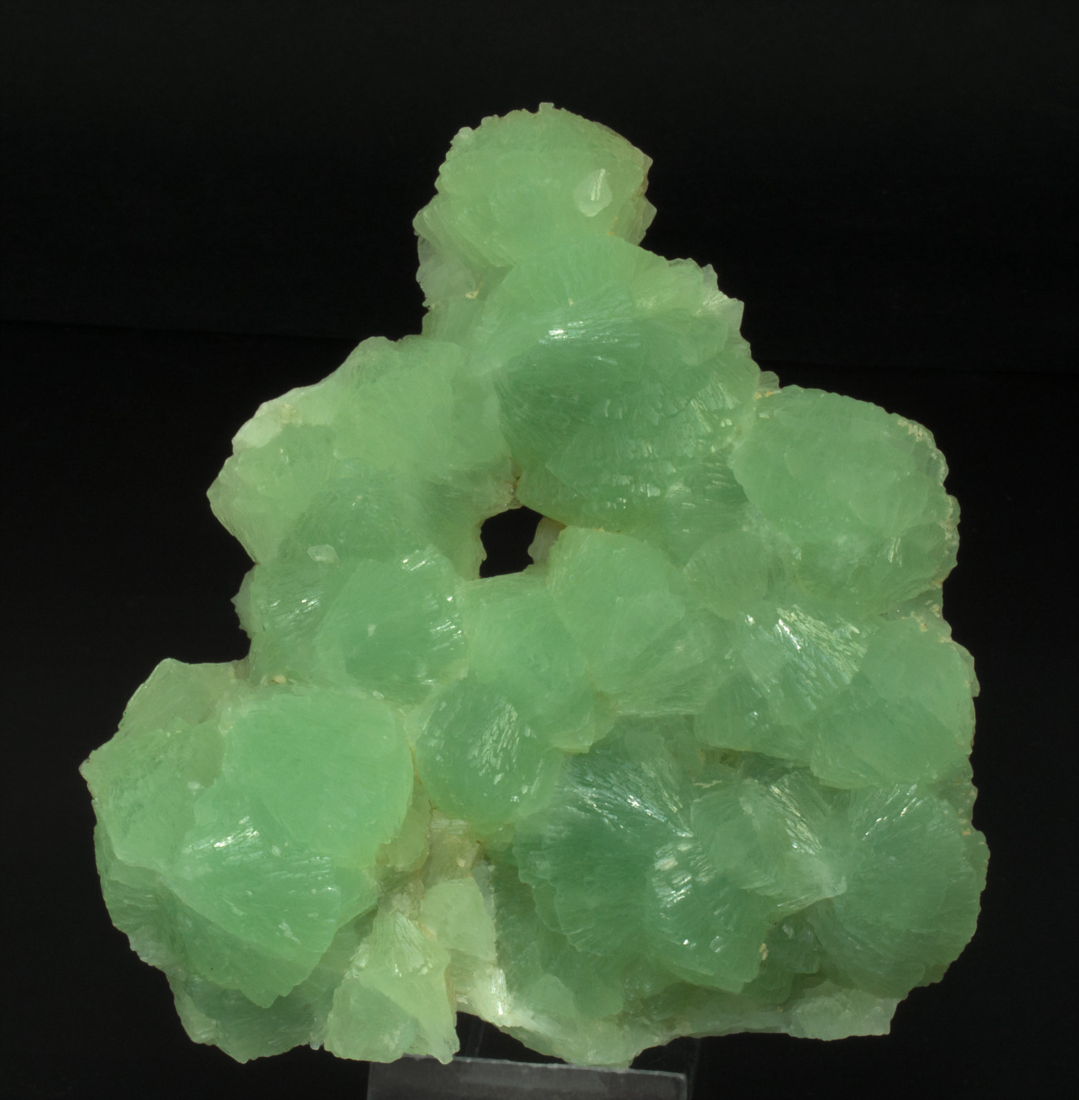 specimens/s_imagesY0/Prehnite-EA67Y0f.jpg