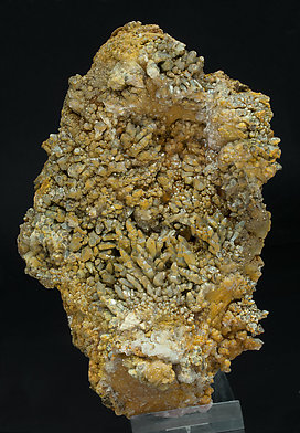 Vanadinite with Gypsum. 