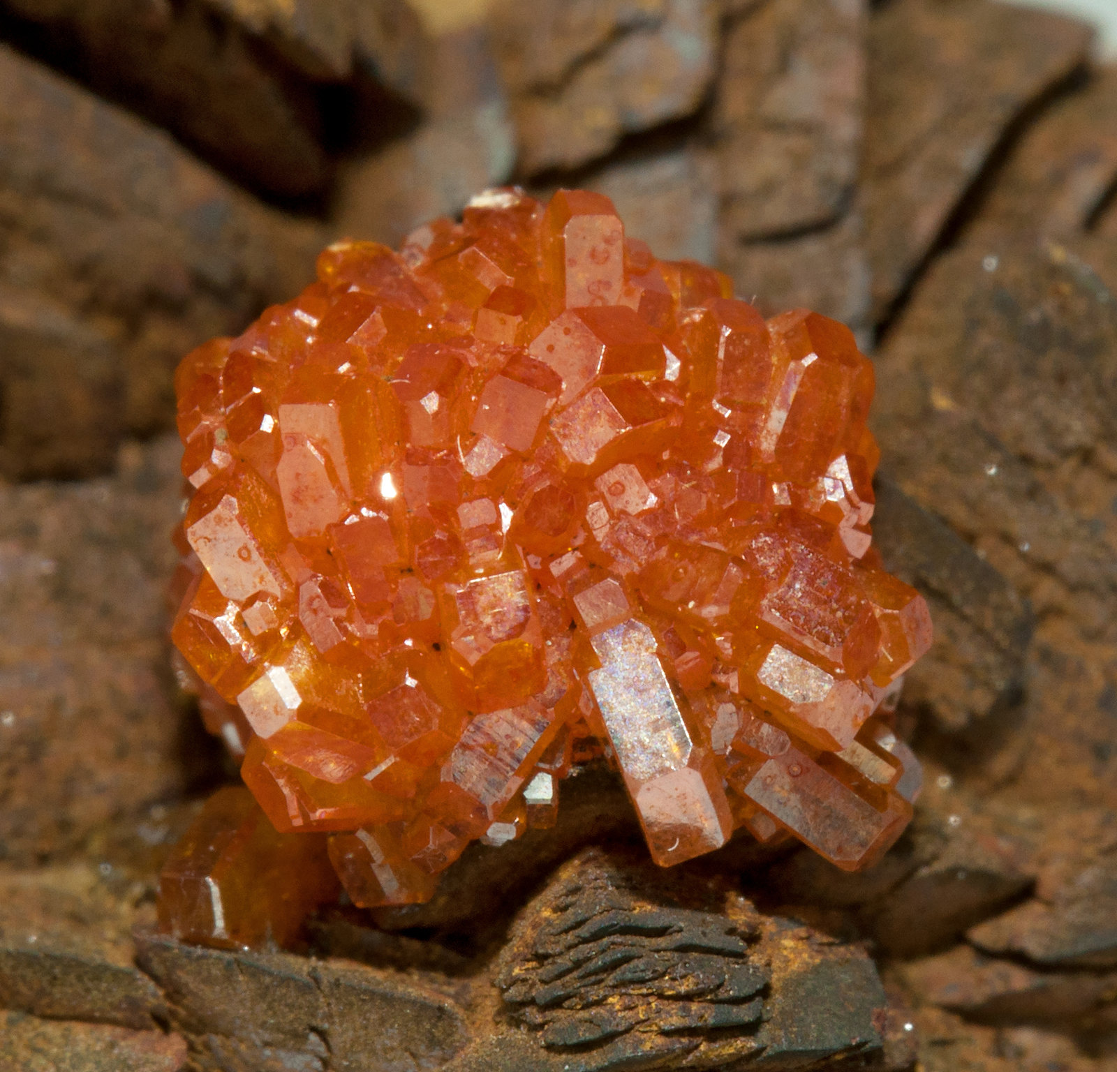specimens/s_imagesY1/Vanadinite-ET11Y1d.jpg