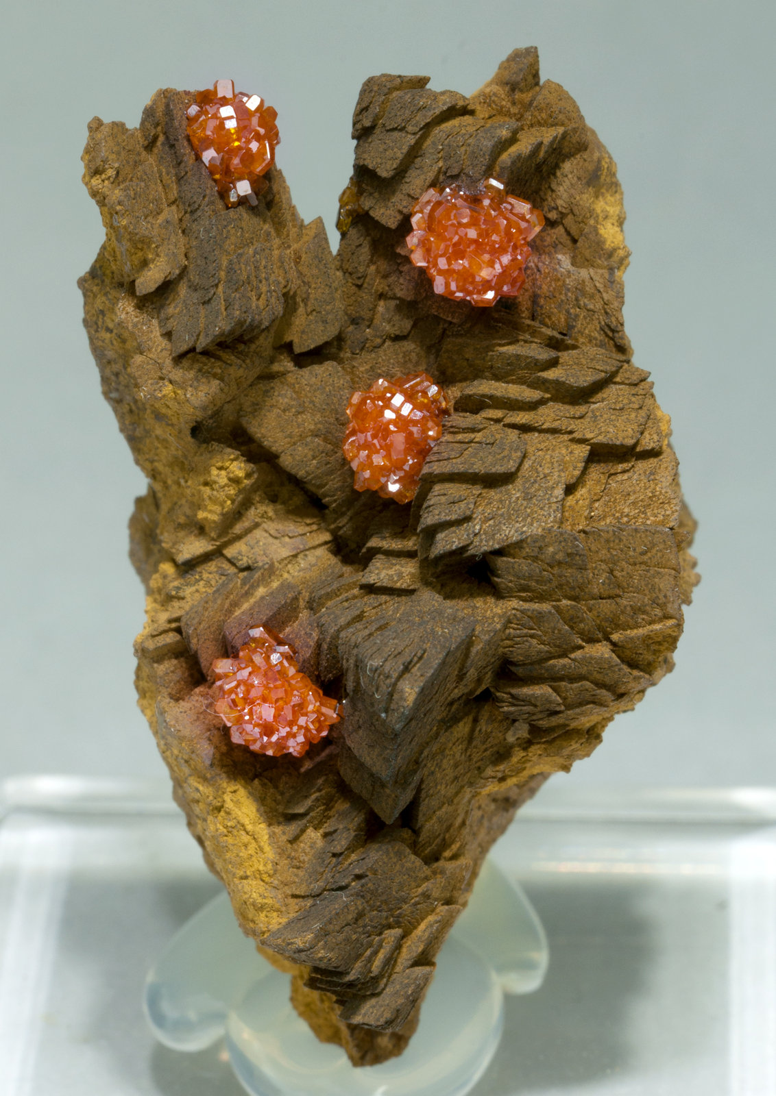 specimens/s_imagesY1/Vanadinite-EV10Y1f.jpg