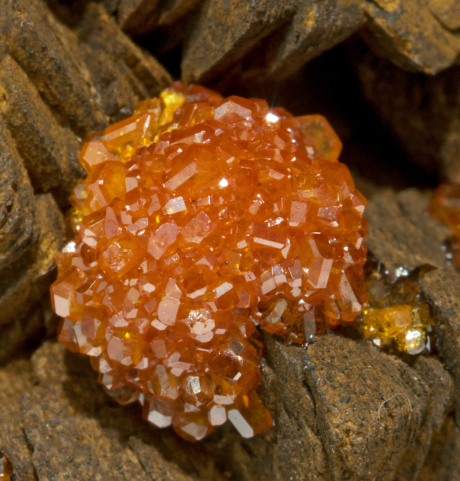 specimens/s_imagesY1/Vanadinite-EX60Y1d.jpg
