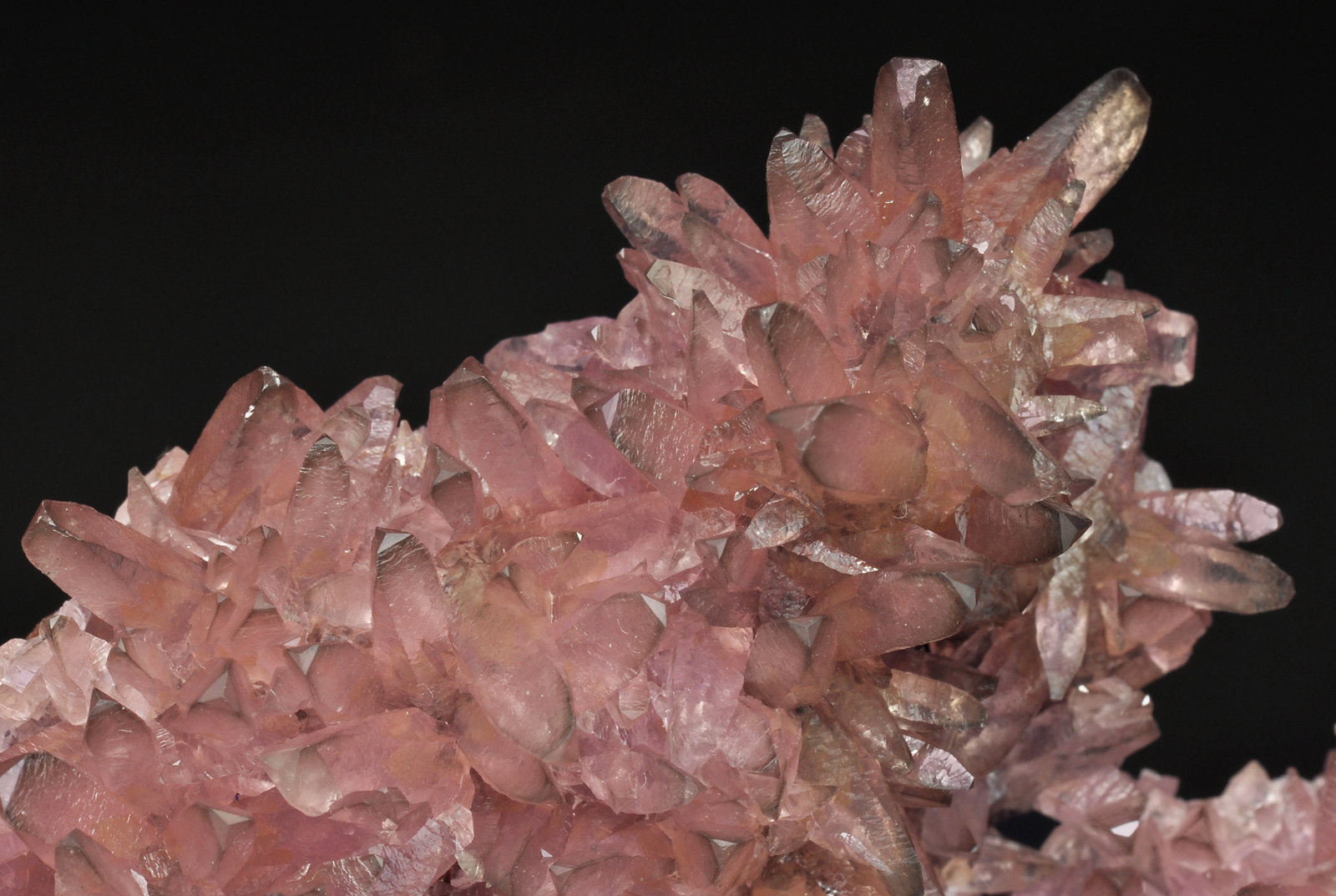 specimens/s_imagesY2/Cobaltoan_Calcite-EB86Y2d.jpg