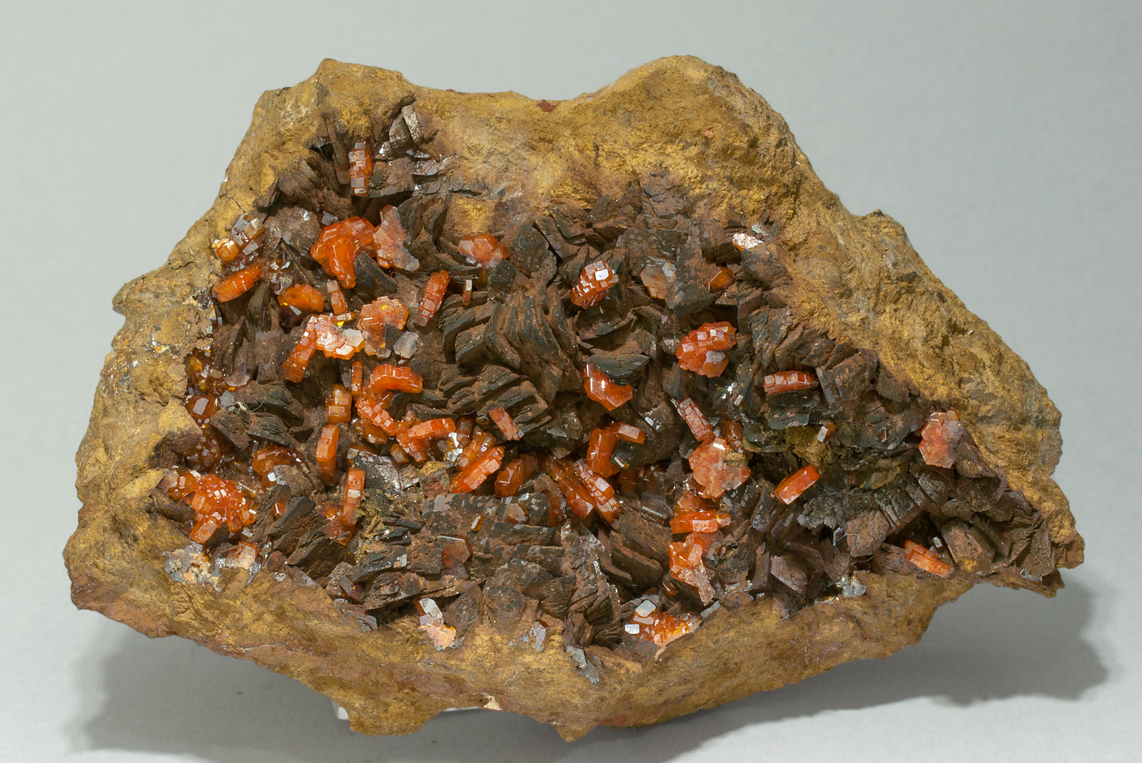 specimens/s_imagesY2/Vanadinite-EZ14Y2f.jpg