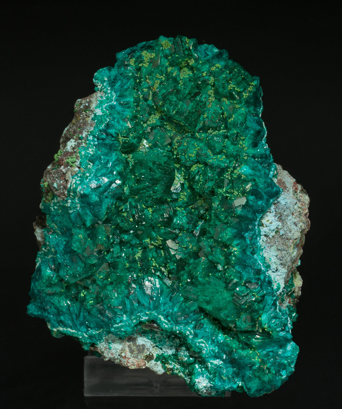 specimens/s_imagesY3/Dioptase-TP91Y3f.jpg