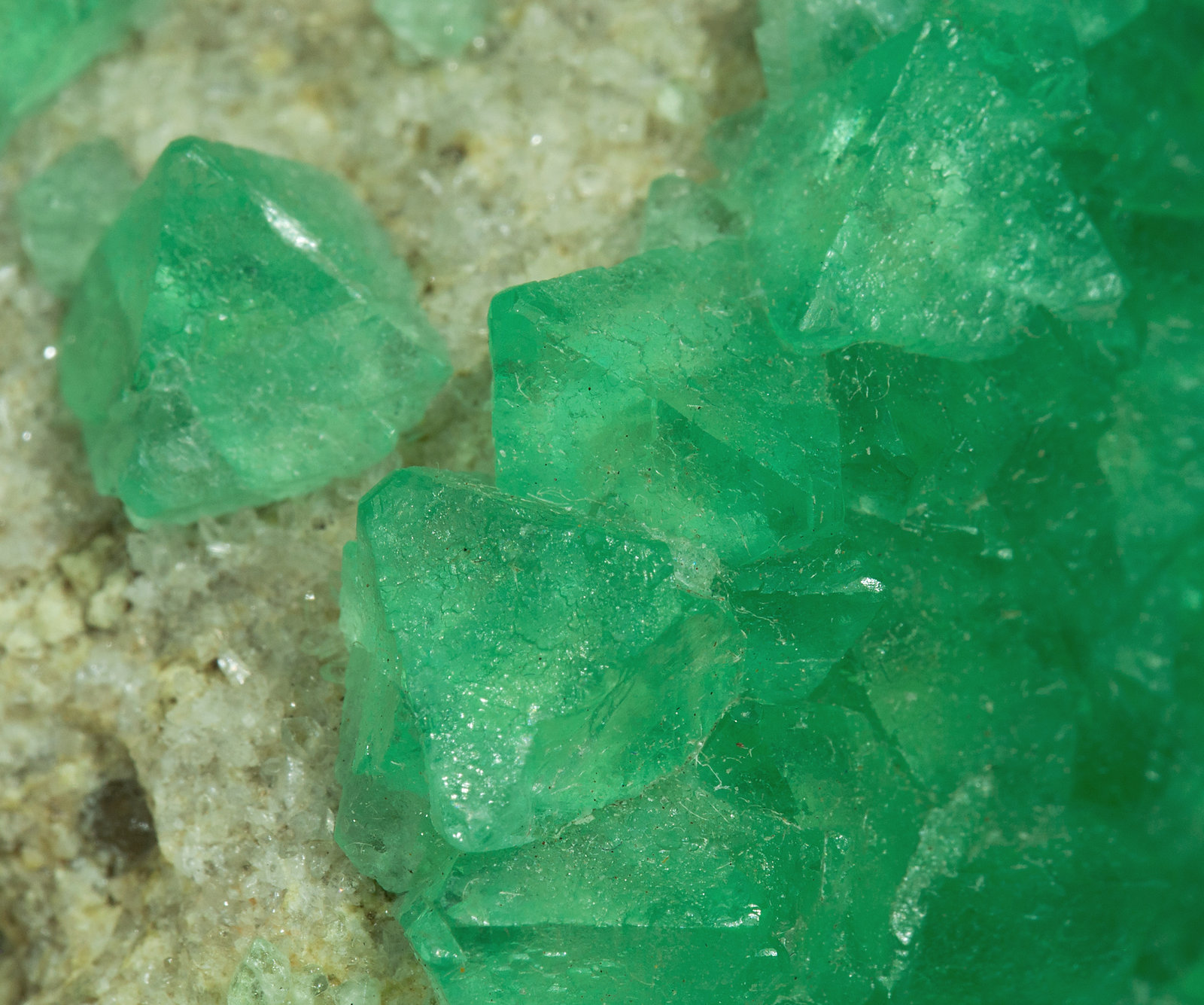 specimens/s_imagesY3/Fluorite-NA96Y3d1.jpg