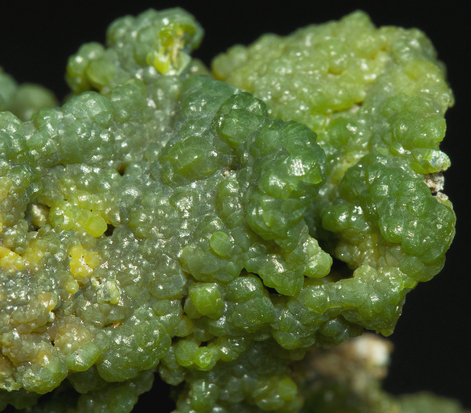 specimens/s_imagesY3/Pyromorphite-MA86Y3d.jpg