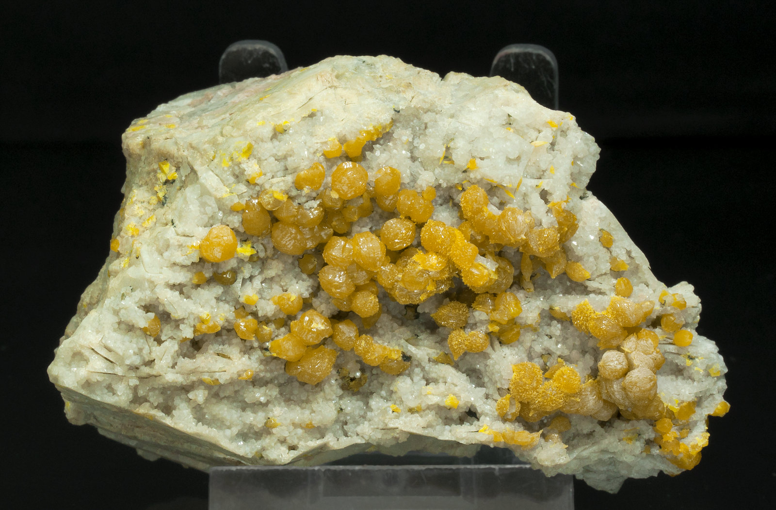 specimens/s_imagesY3/Pyromorphite-MA96Y3f.jpg