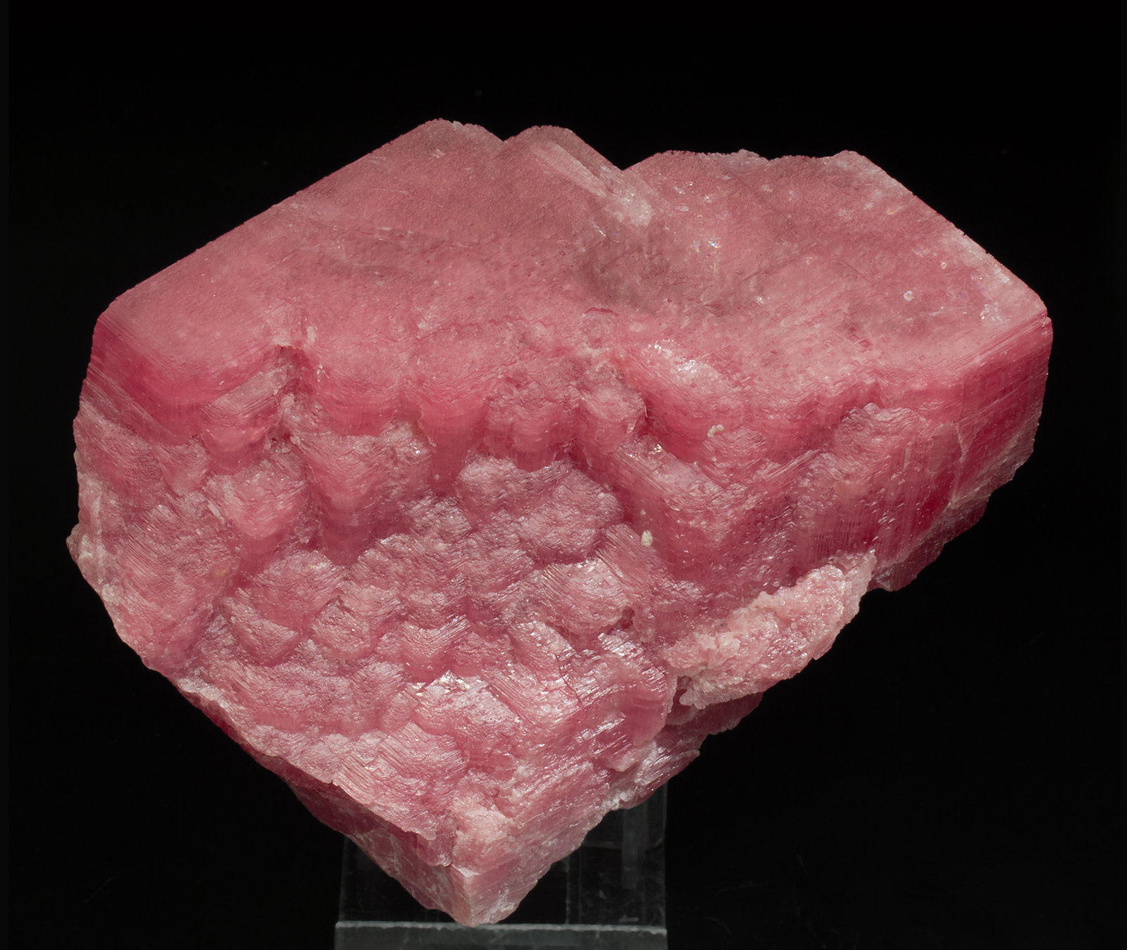 specimens/s_imagesY3/Rhodochrosite-ER96Y3f.jpg