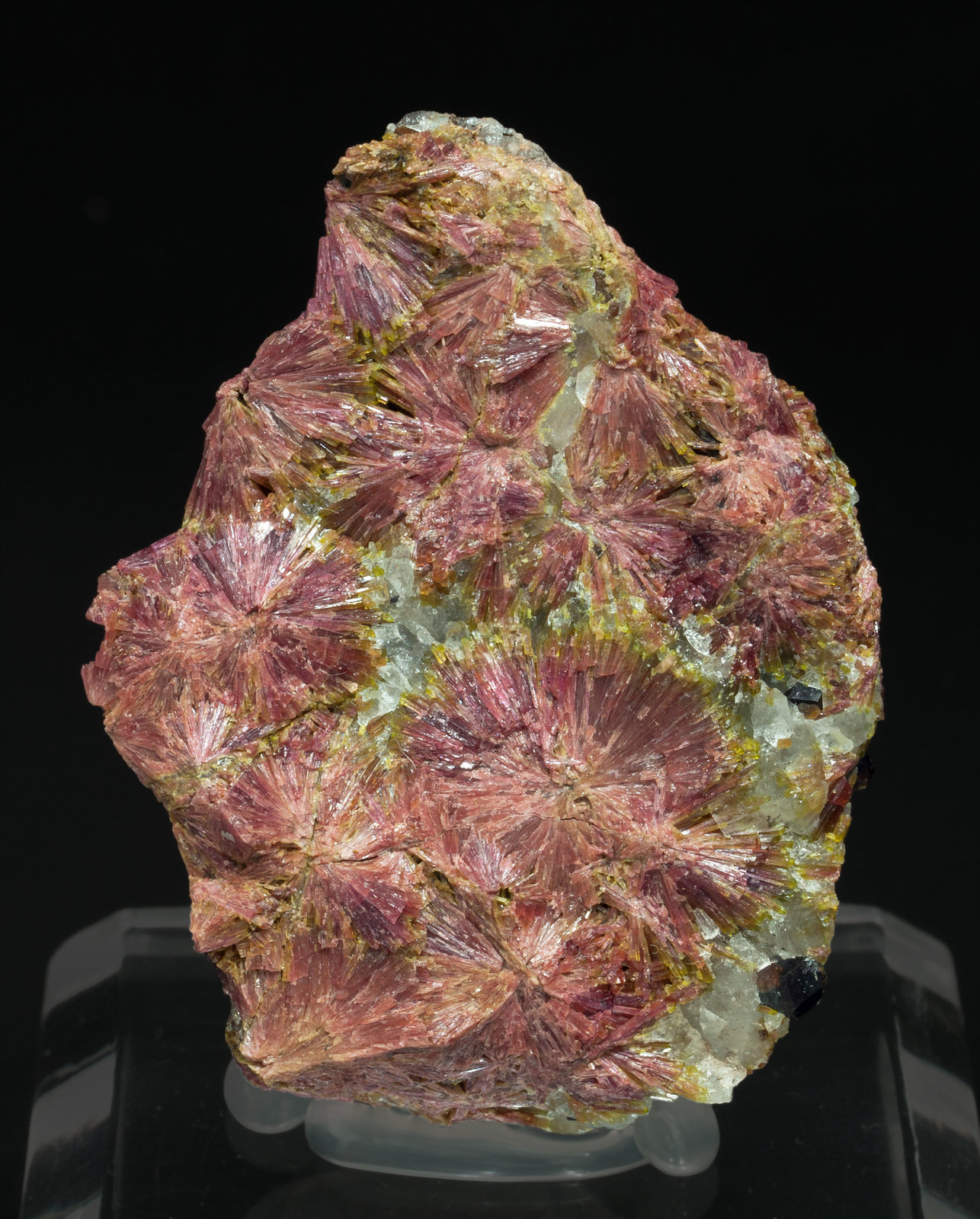 specimens/s_imagesY4/Clinozoisite-EH66Y4f.jpg