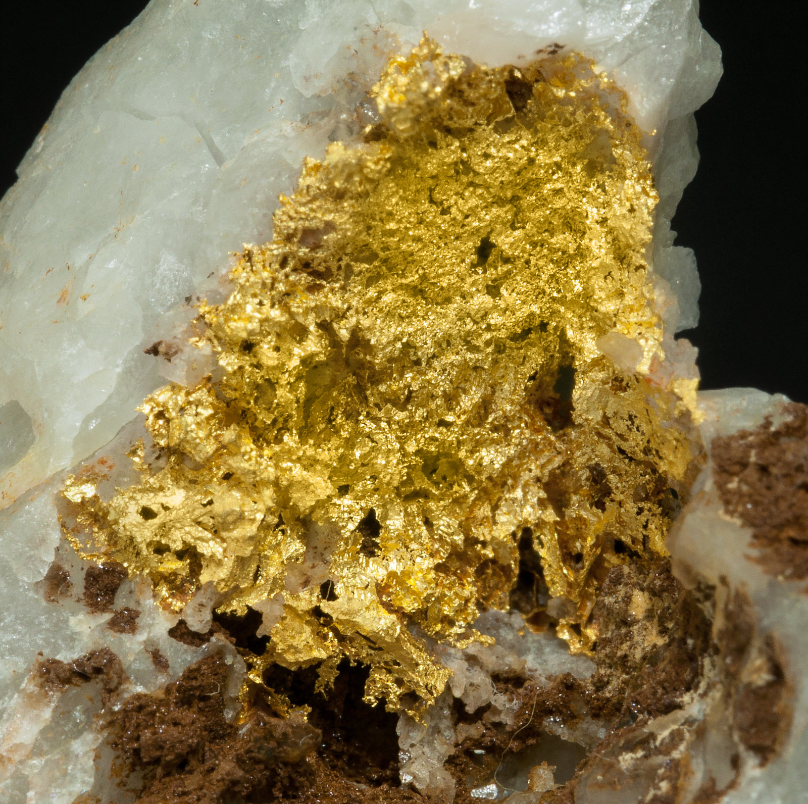 specimens/s_imagesY4/Gold-EA68Y4d.jpg