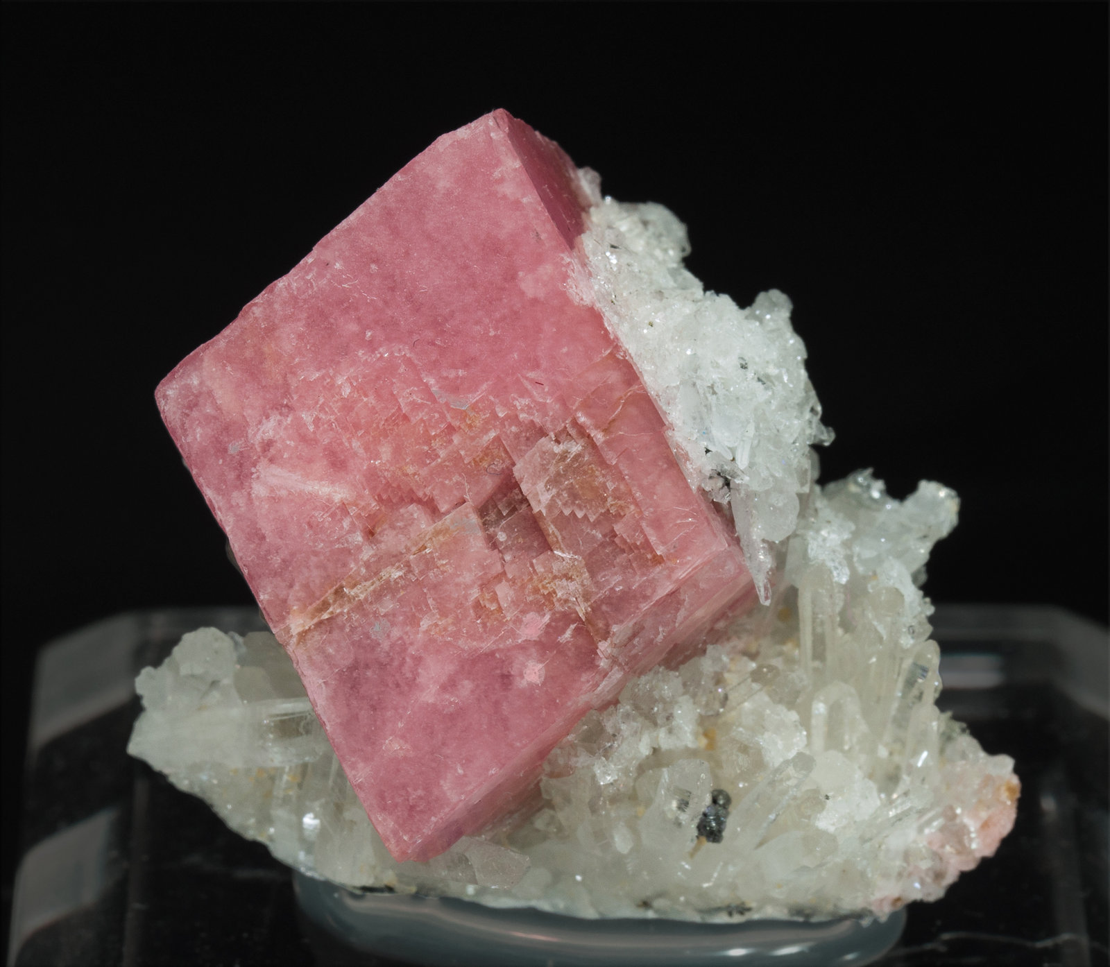 specimens/s_imagesY4/Rhodochrosite-VP27Y4f.jpg