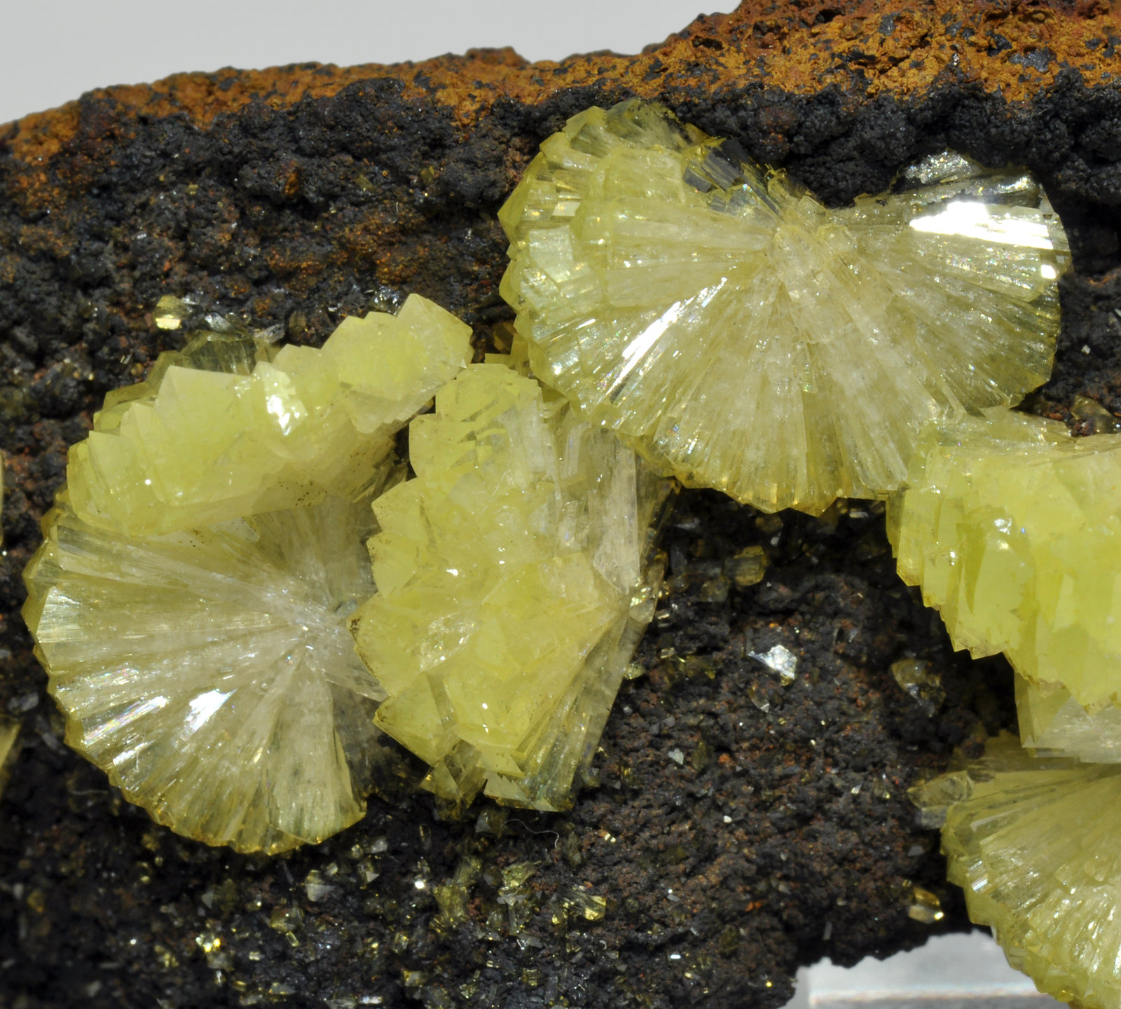 specimens/s_imagesY6/Adamite-EP6Y6d.jpg