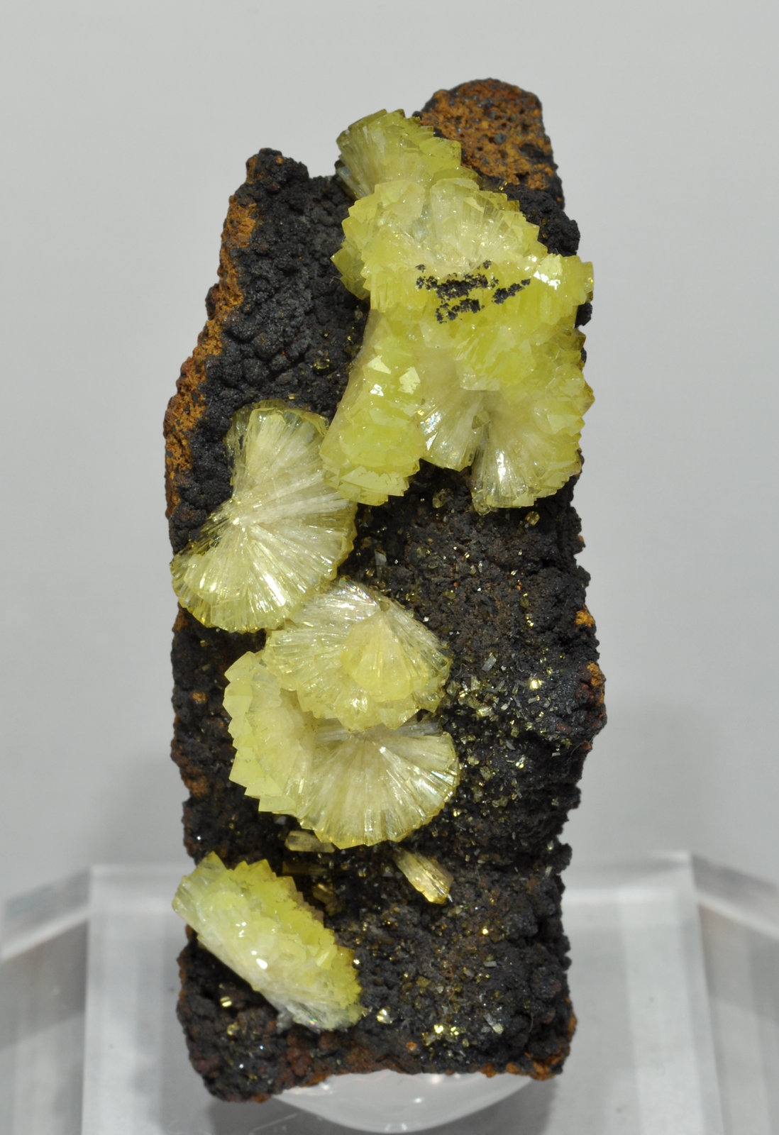 specimens/s_imagesY6/Adamite-EP6Y6f.jpg